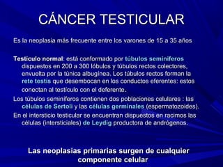 CÁNCER TESTICULAR
Es la neoplasia más frecuente entre los varones de 15 a 35 años

Testículo normal: está conformado por túbulos seminiferos
  dispuestos en 200 a 300 lóbulos y túbulos rectos colectores,
  envuelta por la túnica albugínea. Los túbulos rectos forman la
  rete testis que desembocan en los conductos eferentes: estos
  conectan al testículo con el deferente.
Los túbulos seminíferos contienen dos poblaciones celulares : las
  células de Sertoli y las células germinales (espermatozoides).
En el intersticio testicular se encuentran dispuestos en racimos las
  células (intersticiales) de Leydig productora de andrógenos.



     Las neoplasias primarias surgen de cualquier
                  componente celular
 