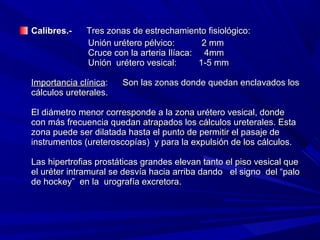 Calibres.-    Tres zonas de estrechamiento fisiológico:
              Unión urétero pélvico:        2 mm
              Cruce con la arteria Ilíaca: 4mm
              Unión urétero vesical:       1-5 mm

Importancia clínica:   Son las zonas donde quedan enclavados los
cálculos ureterales.

El diámetro menor corresponde a la zona urétero vesical, donde
con más frecuencia quedan atrapados los cálculos ureterales. Esta
zona puede ser dilatada hasta el punto de permitir el pasaje de
instrumentos (ureteroscopías) y para la expulsión de los cálculos.

Las hipertrofias prostáticas grandes elevan tanto el piso vesical que
el uréter intramural se desvía hacia arriba dando el signo del “palo
de hockey” en la urografía excretora.
 