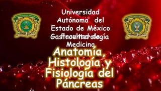 Universidad 
Autónoma del 
Estado de México 
Facultad de 
Medicina 
Gastroenterología 
Anatomía, 
Histología y 
Fisiología del 
Páncreas 
Alumna: 
 