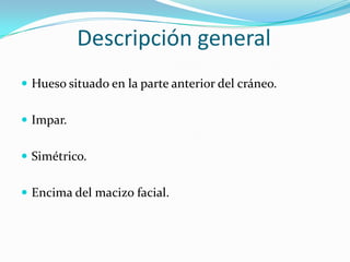Descripción generalHueso situado en la parte anterior del cráneo. Impar. Simétrico.Encima del macizo facial.