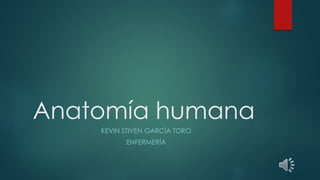 Anatomía humana 
KEVIN STIVEN GARCÍA TORO 
ENFERMERÍA 
 