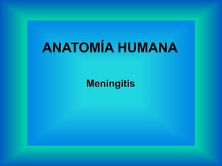 ANATOMÍA HUMANA
Meningitis
 