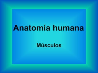 Anatomía humana
Músculos
 