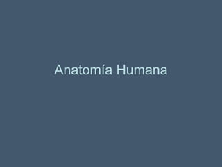 Anatomía Humana 