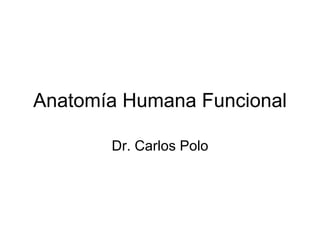 Anatomía Humana Funcional Dr. Carlos Polo 