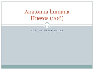 P O R : W I L F R I D O S A L A S
Anatomía humana
Huesos (206)
 