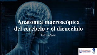 Anatomía macroscópica
del cerebelo y el diencéfalo
Dr. Irving Aguilar
 