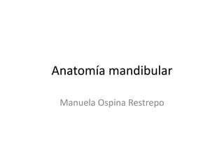 Anatomía mandibular
Manuela Ospina Restrepo
 