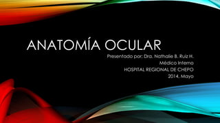 ANATOMÍA OCULAR
Presentado por: Dra. Nathalie B. Ruiz H.
Médico Interno
HOSPITAL REGIONAL DE CHEPO
2014, Mayo
 
