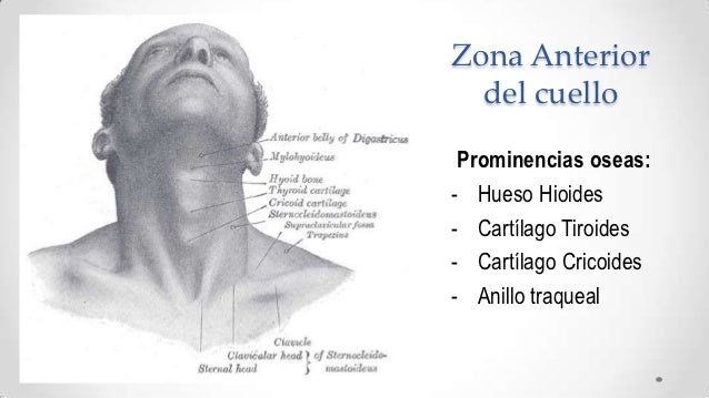 El dolor que tira el lado izquierdo de la espalda