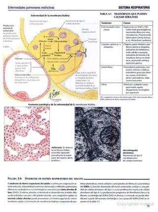 Anatomía Patólogica - Netter.pdf