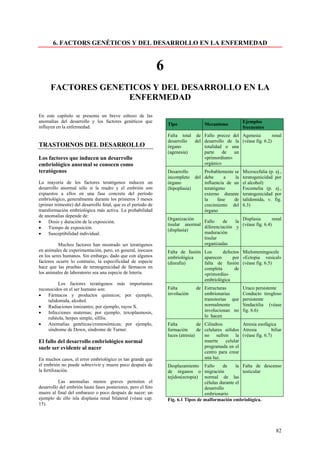 6. FACTORS GENÉTICOS Y DEL DESARROLLO EN LA ENFERMEDAD


                                                                6
      FACTORES GENETICOS Y DEL DESARROLLO EN LA
                    ENFERMEDAD

En este capítulo se presenta un breve esbozo de las
anomalías del desarrollo y los factores genéticos que                                                     Ejemplos
                                                                    Tipo              Mecanismo
influyen en la enfermedad.                                                                                frecuentes
                                                                    Falta total de Fallo precoz del Agenesia          renal
                                                                    desarrollo  del desarrollo de la (véase fig. 6.2)
TRASTORNOS DEL DESARROLLO                                           órgano          totalidad o una
                                                                    (agenesia)      parte    de   un
Los factores que inducen un desarrollo                                              «primordium»
embriológico anormal se conocen como                                                orgánico
teratógenos                                                         Desarrollo     Probablemente se       Microcefalia (p. ej.,
                                                                    incompleto del debe      a    la      teratogenicidad por
La mayoría de los factores teratógenos inducen un                   órgano         influencia de un       el alcohol)
desarrollo anormal sólo si la madre y el embrión son                (hipoplasia)   teratógeno             Focomelia (p. ej.,
expuestos a ellos en una fase concreta del período                                 externo durante        teratogenicidad por
embriológico, generalmente durante los primeros 3 meses                            la     fase   de       talidomida, v. fig.
(primer trimestre) del desarrollo fetal, que es el período de                      crecimiento del        6.3)
transformación embriológica más activa. La probabilidad                            órgano
de anomalías depende de:
                                                                    Organización                      Displasia        renal
•    Dosis y duración de la exposición.                                             Fallo    de    la
                                                                    tisular anormal                   (véase fig. 6.4)
•    Tiempo de exposición.                                                          diferenciación y
                                                                    (displasia)
•    Susceptibilidad individual.                                                    maduración
                                                                                    tisular
          Muchos factores han mostrado ser teratógenos                              organizadas
en animales de experimentación, pero, en general, inocuos           Falta de fusión Los      defectos Mielomeningocele
en los seres humanos. Sin embargo, dado que con algunos             embriológica    aparecen      por «Ectopia vesical»
factores ocurre lo contrario, la especificidad de especie           (disrafia)      falta de fusión (véase fig. 6.5)
hace que las pruebas de teratogenicidad de fármacos en                              completa       de
los animales de laboratorio sea una especie de lotería.                             «primordia»
                                                                                    embriológica
          Los factores teratógenos más importantes
reconocidos en el ser humano son:                                   Falta         de Estructuras      Uraco persistente
•    Fármacos y productos químicos; por ejemplo,                    involución       embrionarias     Conducto tirogloso
     talidomida, alcohol.                                                            transitorias que persistente
•    Radiaciones ionizantes; por ejemplo, rayos X.                                   normalmente      Sindactilia (véase
•    Infecciones maternas; por ejemplo, toxoplasmosis,                               involucionan no fig. 6.6)
     rubéola, herpes simple, sífilis.                                                lo hacen
•    Anomalías genéticas/cromosómicas; por ejemplo,                 Falta           de Cilindros         Atresia esofágica
     síndrome de Down, síndrome de Turner.                          formación       de celulares sólidos Atresia        biliar
                                                                    luces (atresia)    no sufren la (véase fig. 6.7)
El fallo del desarrollo embriológico normal                                            muerte    celular
suele ser evidente al nacer                                                            programada en el
                                                                                       centro para crear
En muchos casos, el error embriológico es tan grande que                               una luz.
el embrión no puede sobrevivir y muere poco después de              Desplazamiento Fallo       de     la Falta de descenso
la fertilización.                                                   de órganos o migración               testicular
                                                                    tejidos(ectopia) normal de las
          Las anomalías menos graves permiten el                                      células durante el
desarrollo del embrión hasta fases posteriores, pero el feto                          desarrollo
muere al final del embarazo o poco después de nacer; un                               embrionario
ejemplo de ello isla displasia renal bilateral (véase cap.          Fig. 6.1 Tipos de malformación embriológica.
15).




                                                                                                                            82
 