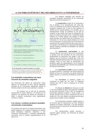 6. FACTORS GENÉTICOS Y DEL DESARROLLO EN LA ENFERMEDAD
                                                                       Los símbolos empleados para describir las
                                                             principales anomalías estructurales de los cromosomas
                                                             aparecen en la lista de la figura 6.11.

                                                                       La translocación de parte de un cromosoma a
                                                             otro se produce en la reconstrucción tras rotura (fig.
                                                             6.10a). La translocación de material cromosómico es con
                                                             frecuencia recíproca, por lo que no hay ganancia ni
                                                             pérdida neta de material genético en el portador, que es
                                                             fenotípicamente normal. El problema en este tipo de
                                                             anomalía es que cuando tiene lugar la segregación, dos
                                                             juegos de material procedente de un cromosoma pueden
                                                             terminar en el mismo gameto. Por ejemplo, la madre
                                                             puede presentar una translocación del cromosoma 21 al
                                                             cromosoma 14. En tal caso, puede producirse un óvulo
                                                             con el cromosoma 21 normal, junto con el cromosoma 14
                                                             anormal que lleva material adicional del cromo soma 21.
                                                             Si el gameto es fertilizado por un espermatozoide haploide
                                                             normal, el gameto contendrá tres ejemplares con material
                                                             del cromosoma 21.

                                                                       La translocación robertsoniana es una
                                                             situación especial en la cual la rotura de los cromosomas
                                                             se produce cerca del centrómero de dos cromosomas,
                                                             produciéndose un cromosoma muy grande y otro muy
                                                             pequeño, que con frecuencia se pierde (fig. 6.10b). Los
                                                             individuos afectados parecen poseer 45 cromosomas en su
                                                             cariotipo. Como en otros tipos de translocación, los
                                                             problemas surgen en la gametogénesis, con la formación
                                                             de gametos desequilibrados que contienen dos ejemplares
                                                             del material cromosómico.

                                                                      Los cromosomas en anillo se asocian a pérdida
                                                             de material genético. Constituyen una forma especial de
                                                             pérdida en la que un cromosoma, tras perder material de
                                                             ambos extremos, se reconstruye formando un círculo (fig.
                                                             6.10c).
Las anomalías cromosómicas son causa
frecuente de anomalías congénitas                                      Las inversiones se producen cuando un
                                                             cromosoma se rompe por dos sitios. El fragmento
Las alteraciones del número de cromosomas suelen             resultante gira 180° y vuelve a integrarse en el mismo
deberse a no disyunción (es decir, falta de separación       cromosoma.
adecuada de los cromosomas emparejados durante la
división celular) en las divisiones meióticas o mitóticas.             El síndrome de deleción más frecuente es el del
                                                             cri du chat (maullido de gato), provocado por la pérdida
          Los gametos con un solo par de autosomas           de parte del cromosoma 5 (fig. 6.10d). Se acompaña de
(monosomía) no suelen sobrevivir y la mayoría de los         microcefalia, hipotonía muscular y retraso mental, y el
trastornos con alteración del número de autosomas se         lactante afectado emite un lloro característico (de ahí el
deben a material cromosómico extra, especialmente            nombre de cri du chat), debido a una alteración de la parte
trisomías (3 copias).                                        posterior de las cuerdas vocales verdaderas.

                                                                       Los cromosomas anormales surgidos gracias a
Las roturas y reuniones producen anomalías                   los diversos tipos de translocación son raros. Producen
estructurales cromosómicas                                   síndromes de trisomia «funcional», y los más frecuentes
                                                             de ellos provocan los síntomas de los síndromes de Down,
Si se produce una rotura en el material cromosómico, éste    Edwards y Patau.
puede recuperarse. Si se separa un fragmento, el material
puede desaparecer (deleción), trasponerse a otro                       Las translocaciones pueden asociarse a
cromosoma (translocación) o insertarse anormalmente          expresión génica anormal, con formación de tumores
(inversión), como se muestra esquemáticamente en la          (véase cap. 4).
figura 6.10.




                                                                                                                     86
 