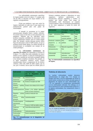 7. FACTORES INMUNOLÓGICOS, INFECCIOSOS, AMBIENTALES Y NUTRICIONALES DE LA ENFERMEDAD

          Las enfermedades autoinmunes específicas         formarse complejos inmunes y depositarse en vasos
de órgano pueden verse en la figura 7.5, aunque cada       sanguíneos,     capilares     glomerulares,      piel,
una de ellas se discutirá con mayor detalle en los         articulaciones, músculo esquelético y cerebro, se
capítulos correspondientes.                                produce una lesión tisular. Este grupo de
                                                           enfermedades suele denominarse en conjunto
          Existe una tendencia a que sean varios los       «conectivopatias», pues se manifiestan principalmente
órganos implicados en cada caso, lo que sugiere una        en los vasos sanguíneos y tejidos de sostén del
predisposición general para este grupo de                  organismo.
enfermedades.
                                                           Enfermedad             Principales órganos Página
          A menudo se encuentran en la sangre                                     afectados
autoanticuerpos dirigidos frente a tejidos. enfermos.
En muchos casos no está claro si estos anticuerpos son     Lupus eritematoso Piel,           riñón, véase
patógenos. Sabemos que los individuos sanos                sistémico         articulaciones,        pág.
producen pequeñas cantidades de anticuerpos contra                           corazón, pulmón        496
ciertos componentes tisulares, pero no causan ningún
daño. Por ejemplo, muchas personas poseen títulos          Esclerosis sistémica Piel,          intestino, véase
bajos de anticuerpos contra el ADN nuclear, sin que se     progresiva y sus pulmón                        pág.
produzca lesión tisular alguna. Los títulos elevados de    variantes                                      499
autoanticuerpos se acompañan casi siempre de un
estado patológico.                                         Polimiositis        y Músculo esquelético       véase
                                                           dermatomiositis       Piel                      pág.
           Las enfermedades autoinmunes no                                                                 435
específicas de órgano más importantes se resumen en
                                                           Enfermedad             Articulaciones,      véase
la figura 7.6 y todas ellas serán estudiadas con mayor
detalle en otros capítulos. La afección multiorgánica es   reumatoide             pulmones. vasos de pág.
provocada a menudo por una lesión secundaria debida                               la circulación mayor 500
a los inmunes complejos circulantes. Por ejemplo, en
                                                           Fig. 7.6 Enfermedades autoinmunes no específicas
el lupus eritematoso sistémico (LES), existen
                                                           de órgano.
autoanticuerpos frente a componentes de los núcleos
celulares, sobre todo ADN de doble cadena, que no
son, por si mismos, lesivos para las células; pero al



Enfermedad          Autoanticuerpo        relacionado      Medicina de laboratorio
                    con el diagnóstico de la
                    enfermedad                             En muchas enfermedades pueden detectarse
                                                           autoanticuerpos en sangre (fig. 7.7). Aunque no
Enfermedad       de Antimicrosómico,
                                                           siempre está claro si son los responsables de iniciar la
Hashimoto           antitiroglobulina                      lesión tisular, su detección en títulos elevados apoya el
Enfermedad       de Frente al receptor de TSH              diagnóstico de algunas de estas enfermedades (fig.
Graves                                                     7.8). Los siguientes se correlacionan estrechamente
Diabetes mellitus Frente a las células de los islotes      con las enfermedades indicadas. Sin embargo, no es
                                                           rara la presencia de varios autoanticuerpos positivos y,
de tipo I                                                  en algunas enfermedades, hay solapamiento clínico y
Anemia perniciosa Frente a las células apriétales,         patológico.
                    frente al factor intrínseco
Hepatitis crónica Frente al músculo liso
activa
Cirrosis     biliar Antimitocondrial
primaria
Trombocitopenia     Antiplaquetario
autoinmune
LES                 Frente al ADN da doble cadena
Síndrome        de Antirribonucleoproteínico
Sjögren
Eselerodermia       Anticentromérico
Enfermedad          Factor reumatoide (frente a IgG)
reumatoide
Fig. 7.7 Autoanticuerpos en el diagnóstico de
enfermedades



                                                                                                               104
 