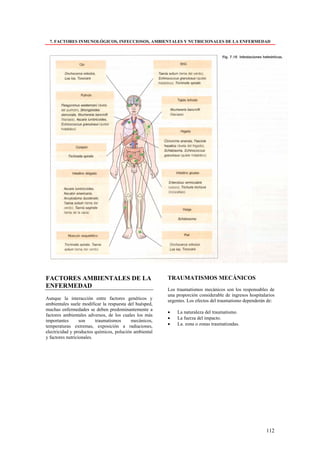7. FACTORES INMUNOLÓGICOS, INFECCIOSOS, AMBIENTALES Y NUTRICIONALES DE LA ENFERMEDAD




FACTORES AMBIENTALES DE LA                              TRAUMATISMOS MECÁNICOS
ENFERMEDAD
                                                        Los traumatismos mecánicos son los responsables de
                                                        una proporción considerable de ingresos hospitalarios
Aunque la interacción entre factores genéticos y        urgentes. Los efectos del traumatismo dependerán de:
ambientales suele modificar la respuesta del huésped,
muchas enfermedades se deben predominantemente a
                                                        •   La naturaleza del traumatismo.
factores ambientales adversos, de los cuales los más
                                                        •   La fuerza del impacto.
importantes       son     traumatismos     mecánicos,
temperaturas extremas, exposición a radiaciones,        •   La. zona o zonas traumatizadas.
electricidad y productos químicos, polución ambiental
y factores nutricionales.




                                                                                                        112
 