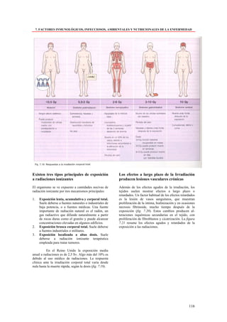 7. FACTORES INMUNOLÓGICOS, INFECCIOSOS, AMBIENTALES Y NUTRICIONALES DE LA ENFERMEDAD




Existen tres tipos principales de exposición                 Los efectos a largo plazo de la Irradiación
a radiaciones ionizantes                                     producen lesiones vasculares crónicas
El organismo se ve expuesto a cantidades nocivas de          Además de los efectos agudos de la irradiación, los
radiación ionizante por tres mecanismos principales:         tejidos suelen mostrar efectos a largo plazo o
                                                             retardados. Un factor habitual de los efectos retardados
1.     Exposición lenta, acumulativa y corporal total.       es la lesión de vasos sanguíneos, que muestran
       Suele deberse a fuentes naturales o industriales de   proliferación de la intima, hialinización y en ocasiones
       baja potencia, o a fuentes médicas. Una fuente        necrosis fibrinoide, mucho tiempo después de la
       importante de radiación natural es el radón, un       exposición (fig. 7.20). Estos cambios producen al-
       gas radiactivo que difunde naturalmente a partir      teraciones isquémicas secundarias en el tejido, con
       de rocas duras como el granito y puede alcanzar       proliferación de fibroblastos y cicatrización. La figura
       concentraciones elevadas en algunos edificios.        7.21 resume los efectos agudos y retardados de la
2.     Exposición brusca corporal total. Suele deberse       exposición a las radiaciones.
       a fuentes industriales o militares.
3.     Exposición localizada a altas dosis. Suele
       deberse a radiación ionizante terapéutica
       empleada para tratar tumores.

          En el Reino Unido la exposición media
anual a radiaciones es de 2,5 Sv. Algo más del 10% es
debido al uso médico de radiaciones. La respuesta
clínica ante la irradiación corporal total varia desde
nula hasta la muerte rápida, según la dosis (fig. 7.19).




                                                                                                                116
 