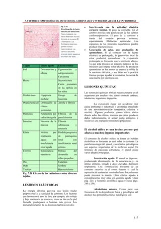 7. FACTORES INMUNOLÓGICOS, INFECCIOSOS, AMBIENTALES Y NUTRICIONALES DE LA ENFERMEDAD

                                                            •   Interferencia con la actividad eléctrica
                                                                corporal normal. El paso de corriente. por el
                                                                cerebro provoca una paralización de los centros
                                                                cardiorrespiratorios. El paso de la corriente a
                                                                través    del    corazón     provoca     arritmias,
                                                                especialmente fibrilación ventricular. Los
                                                                espasmos de los músculos esqueléticos pueden
                                                                producir fracturas óseas.
                                                            •   Generación de calor, con producción de
                                                                quemaduras. Si el contacto con la fuente
                                                                eléctrica es prolongado, la generación local de
                                                                calor producirá quemaduras. La exposición
                                                                prolongada es frecuente con la corriente alterna,
                                                                ya que ésta provoca un espasmo tetánico de los
Tejido            Efecto agudo        Efecto crónico            músculos que impide soltar el cable. Se producen
Piel              Descamación y Pigmentación   y                quemaduras en los puntos de entrada y salida de
                  edema         adelgazamiento                  la corriente eléctrica, y son útiles en la práctica
                                                                forense porque ayudan a reconstruir la escena de
                                Carcinoma
                                                                una muerte por electrocución.
Hueso                                 Necrosis ósea
                                      Cierre prematuro
                                      de las epífisis en    LESIONES QUÍMICAS
                                      los niños             Las sustancias químicas tóxicas pueden penetrar en el
Médula ósea       Hipoplasia          Riesgo           de   organismo por muchas vías, como contacto cutáneo,
                  medular             leucemia              inhalación, ingestión e inyección.
Ovario/testiculo Destrucción de Atrofia y fibrosis                     La exposición puede ser accidental (por
                 células                                    causa ambiental o industrial) o deliberada (resultado
                 germinales                                 de una autoadministración terapéutica, adictiva o
                                                            suicida). Algunos productos poseen efecto tóxico
Pulmones          Neumonitis por Fibrosis de           la
                                                            directo sobre las células, mientras que otros producen
                  radiación aguda pared alveolar            daños indirectamente, al actuar como antígenos e
Intestino         Necrosis de la Fibrosis                   iniciar así una respuesta inmunitaria perjudicial.
                  mucosa         submucosa             y
                                 estenosis                  El alcohol etílico es una toxina potente que
Riñón             Nefritis      por   Pérdida progresiva    afecta a muchos órganos importantes
                  irradiación         de     parénquima
                  aguda        con    renal          con    El consumo de alcohol etílico en forma de bebidas
                                                            alcohólicas es frecuente en casi todas las culturas. La
                  insuficiencia       insuficiencia renal   patofarmacología del etanol y sus efectos psicológicos
                  renal aguda         crónica               son aspectos importantes de la medicina social. En
Cerebro           Somnolencia         Retraso        del    términos de patología estructural, el etanol posee
                                                            varios efectos principales.
                  transitoria         desarrollo      en
                                      niños pequeños                   Intoxicación aguda. El etanol es depresor,
Ojo                                   Cataratas             produciendo disminución de la consciencia y, en
                                                            último extremo, tomado a dosis elevadas, depresión
Oído                                  Sordera               respiratoria. Una complicación frecuente de un
Tiroides                              Hipotiroidismo        consumo excesivo es el coma, durante el cual la
Fig. 7.21 Efectos de las radiaciones sobre diversos         aspiración de sustancias vomitadas hasta los pulmones
tejidos.                                                    puede provocar la muerte. Otros efectos agudos a
                                                            concentraciones muy altas son gastritis aguda (véase
                                                            pág. 221) y hepatitis alcohólica aguda (véanse págs.
                                                            245 y 254).
LESIONES ELÉCTRICAS
                                                                      Alcoholismo crónico. Forma parte con
La energía eléctrica provoca una lesión tisular
                                                            frecuencia de la dependencia física y psicológica del
proporcional a la cantidad de corriente. Los factores
                                                            alcohol. Los principales efectos patológicos son:
que favorecen el paso de ésta, por ejemplo, alto voltaje
y baja resistencia de contacto, como se dan en la piel
húmeda, predisponen a lesiones más graves. Los
principales efectos de las lesiones eléctricas son dos:




                                                                                                              117
 