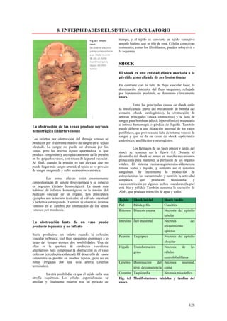 8. ENFERMEDADES DEL SISTEMA CIRCULATORIO
                                                            tiempo, y el tejido se convierte en tejido conectivo
                                                            amorfo hialino, que se tiñe de rosa. Células conectivas
                                                            resistentes, como los fibroblastos, pueden sobrevivir a
                                                            la isquemia.


                                                            SHOCK

                                                            El shock es una entidad clínica asociada a la
                                                            pérdida generalizada de perfusión tisular

                                                            En contraste con la falta de flujo vascular local, la
                                                            disminución sistémica del flujo sanguíneo, reflejada
                                                            por hipotensión profunda, se denomina clínicamente
                                                            shock.

                                                                      Entre las principales causas de shock están
                                                            la insuficiencia grave del mecanismo de bomba del
                                                            corazón (shock cardiogénico), la obstrucción de
                                                            arterias principales (shock obstructivo) y la falta de
                                                            sangre para bombear (shock hipovolémico) secundaria
                                                            a intensa hemorragia o pérdida de liquido. También
La obstrucción de las venas produce necrosis                puede deberse a una dilatación anormal de los vasos
hemorrágica (infarto venoso)                                periféricos, que provoca una falta de retorno venoso de
                                                            sangre y que se da en casos de shock septicémico
Los infartos por obstrucción del drenaje venoso se          endotóxico, anafiláctico y neurogénico.
producen por el derrame masivo de sangre en el tejido
afectado. La sangre no puede ser drenada por las                       Los fármacos de las fases precoz y tardía del
venas, pero las arterias siguen aportándola, lo que         shock se resumen en la figura 8.8. Durante el
produce congestión y un rápido aumento de la presión        desarrollo del shock se ponen en marcha mecanismos
en los pequeños vasos, con rotura de la pared vascular.     protectores para mantener la perfusión de los órganos
Al final, cuando la presión es tan elevada que no           vitales, El sistema renina-angiotensina-aldosterona
puede llegar más sangre arterial, el tejido se ve privado   retiene sodio y líquido, y aumenta así el volumen
de sangre oxigenada y sufre una necrosis anóxica.           sanguíneo. Se incrementa la producción de
                                                            catecolaminas las suprarrenales y también la actividad
          Las zonas afectas están enormemente               simpática,      que    producen       taquicardia     y
congestionadas de sangre desoxigenada y su aspecto          vasoconstricción en algunos lechos vasculares (la piel
es negruzco (infarto hemorrágico). La causa más             está fría y pálida). También aumenta la secreción de
habitual de infartos hemorrágicos es la torsión del         ADH, que produce retención de agua y sodio.
pedículo vascular de un órgano. Los principales
ejemplos son la torsión testicular, el vólvulo intestinal   Tejido    Shock inicial          Shock tardío
y la bernia estrangulada. También se observan infartos
venosos en el cerebro por obstrucción de los senos          Piel      Pálida y fría          Cianótica
venosos por trombosis.                                      Riñones   Diuresis escasa        Necrosis del epitelio
                                                                                             tubular
La obstrucción lenta de un vaso puede                       Intestino Íleo intestinal        Necrosis           del
producir isquemia y no infarto                                                               revestimiento
                                                                                             epitelial
Suele producirse un infarto cuando la oclusión
                                                            Pulmón    Taquipnea              Necrosis del epitelio
vascular es brusca; si el flujo sanguíneo disminuye a lo
largo del tiempo existen dos posibilidades. Una de                                           alveolar
ellas es la apertura de conductos vasculares                Hígado    Transformación         Necrosis     de    les
alternativos para compensar la obstrucción en el vaso
                                                                      grasa                  células
enfermo (circulación colateral). El desarrollo de vasos
colaterales es posible en muchos tejidos, pero no en                                         centrolobulillares
zonas irrigadas por una sola arteria (arterias              Cerebro   Disminución      del Necrosis       neuronal,
terminales).                                                          nivel de consciencia coma
          La otra posibilidad es que el tejido sufra una    Corazón Taquicardia              Necrosis miocárdica
atrofia isquémica. Las células especializadas se            Fig. 6.8 Manifestaciones iniciales y tardías del
atrofian y finalmente mueren tras un período de             shock.




                                                                                                               128
 