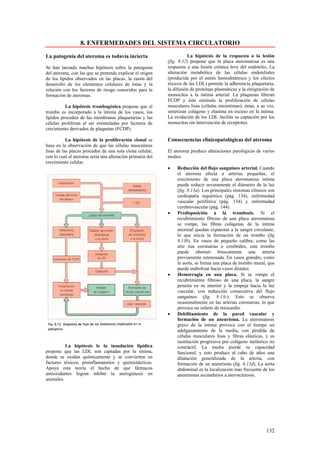 8. ENFERMEDADES DEL SISTEMA CIRCULATORIO

La patogenia del ateroma es todavía incierta                         La hipótesis de la respuesta a la lesión
                                                           (fig. 8.12) propone que la placa ateromatosa es una
Se han lanzado muchas hipótesis sobre la patogenia         respuesta a una lesión crónica leve del endotelio, La
del ateroma, con las que se pretende explicar el origen    alteración metabólica de las células endoteliales
de los lípidos observados en las placas, la razón del      (producida por el estrés hemodinámico y los efectos
desarrollo de los elementos celulares de éstas y la        tóxicos de las LDL) permite la adherencia plaquetaria,
relación con los factores de riesgo conocidos para la      la difusión de proteínas plasmáticas y la emigración de
formación de ateromas.                                     monocitos a la íntima arterial. La plaquetas liberan
                                                           FCDP y éste estimula la proliferación de células
          La hipótesis trombogénica propone que el         musculares lisas (células miointimas); éstas, a su vez,
trombo es incorporado a la íntima de los vasos, los        sintetizan colágeno y elastina en exceso en la íntima.
lípidos proceden de las membranas plaquetarias y las       La oxidación de los LDL facilita su captación por los
células proliferan al ser estimuladas por factores de      monocitos sin intervención de receptores.
crecimiento derivados de plaquetas (FCDP).

           La hipótesis de la proliferación clonal se      Consecuencias clinicopatológicas del ateroma
basa en la observación de que las células musculares
lisas de las placas proceden de una sola clona celular,    El ateroma produce alteraciones patológicas de varios
con lo cual el ateroma seria una alteración primaria del   modos:
crecimiento celular.
                                                           •   Reducción del flujo sanguíneo arterial. Cuando
                                                               el ateroma afecta a arterias pequeñas, el
                                                               crecimiento de una placa ateromatosa intima
                                                               puede reducir severamente el diámetro de la luz
                                                               (fig. 8.13a). Los principales síntomas clínicos son
                                                               cardiopatía isquémica (pág. 134), enfermedad
                                                               vascular periférica (pág. 134) y enfermedad
                                                               cerebrovascular (pág. 144).
                                                           •   Predisposición a la trombosis. Si el
                                                               recubrimiento fibroso de una placa ateromatosa
                                                               se rompe, las fibras colágenas de la íntima
                                                               anormal quedan expuestas a la sangre circulante,
                                                               lo que inicia la formación de un trombo (fig
                                                               8.13b). En vasos de pequeño calibre, como las
                                                               arte rías coronarias o cerebrales, este trombo
                                                               puede obstruir bruscamente una arteria
                                                               previamente estenosada. En vasos grandes, como
                                                               la aorta, se forma una placa de trombo mural, que
                                                               puede embolizar hacia vasos distales.
                                                           •   Hemorragia en una placa. Si se rompe el
                                                               recubrimiento fibroso de una placa, la sangre
                                                               penetra en su interior y la empuja hacia la luz
                                                               vascular, con reducción consecutiva del flujo
                                                               sanguíneo (fig. 8.13c). Esto se observa
                                                               ocasionalmente en las arterias coronarias, lo que
                                                               provoca un infarto de miocardio.
                                                           •   Debilitamiento de la pared vascular y
                                                               formación de un aneurisma. La ateromatosis
                                                               grave de la íntima provoca con el tiempo un
                                                               adelgazamiento de la media, con pérdida de
                                                               células musculares lisas y fibras elásticas, y su
                                                               sustitución progresiva por colágeno inelástico no
          La hipótesis le la insudación lipídica               contráctil. La media pierde su capacidad
propone que las LDL son captadas por la intima,                funcional, y esto produce al cabo de años una
donde se oxidan químicamente y se convierten en                dilatación generalizada de la arteria, con
factores tóxicos, proinflamatorios y quimiotácticos.           formación de un aneurisma (fig. 8.13d). La aorta
Apoya esta teoría el hecho de que fármacos                     abdominal es la localización mas frecuente de los
antioxidantes logran inhibir la aterogénesis en                aneurismas secundarios a aterosclerosis.
animales.




                                                                                                             132
 