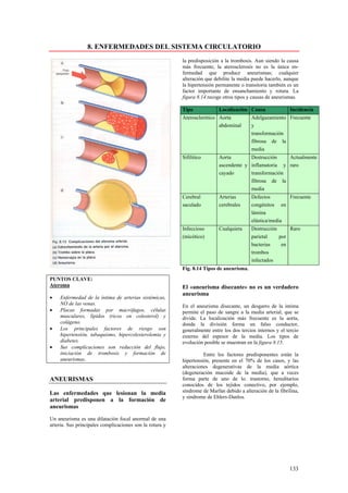 8. ENFERMEDADES DEL SISTEMA CIRCULATORIO
                                                          la predisposición a la trombosis. Aun siendo la causa
                                                          más frecuente, la aterosclerosis no es la única en-
                                                          fermedad que produce aneurismas; cualquier
                                                          alteración que debilite la media puede hacerlo, aunque
                                                          la hipertensión permanente o transitoria también es un
                                                          factor importante de ensanchamiento y rotura. La
                                                          figura 8.14 recoge otros tipos y causas de aneurismas.

                                                          Tipo             Localización Causa               Incidencia
                                                          Aterosclerótico Aorta           Adelgazamiento Frecuente
                                                                          abdominal       y
                                                                                          transformación
                                                                                          fibrosa de la
                                                                                          media
                                                          Sifilítico       Aorta        Destrucción    Actualmente
                                                                           ascendente y inflamatoria y raro
                                                                           cayado       transformación
                                                                                        fibrosa de la
                                                                                        media
                                                          Cerebral         Arterias       Defectos       Frecuente
                                                          saculado         cerebrales     congénitos en
                                                                                          lámina
                                                                                          elástica/media
                                                          Infeccioso       Cualquiera     Destrucción     Raro
                                                          (micótico)                      parietal    por
                                                                                          bacterias    en
                                                                                          trombos
                                                                                          infectados
                                                          Fig. 8.14 Tipos de aneurisma.

PUNTOS CLAVE:
Ateroma                                                   El «aneurisma disecante» no es un verdadero
                                                          aneurisma
•   Enfermedad de la íntima de arterias sistémicas,
    NO de las venas.                                      En el aneurisma disecante, un desgarro de la intima
•   Placas formadas por macrófagos, células               permite el paso de sangre a la media arterial, que se
    musculares, lípidos (ricos en colesterol) y           divide. La localización más frecuente es la aorta,
    colágeno.                                             donde la división forma un falso conductor,
•   Los principales factores de riesgo son                generalmente entre los dos tercios internos y el tercio
    hipertensión, tabaquismo, hipercolesterolemia y       externo del espesor de la media. Los tipos de
    diabetes.                                             evolución posible se muestran en la figura 8.15.
•   Sus complicaciones son reducción del flujo,
    iniciación de trombosis y formación de                          Entre los factores predisponentes están la
    aneurismas.                                           hipertensión, presente en el 70% de los casos, y las
                                                          alteraciones degenerativas de la media aórtica
                                                          (degeneración mucoide dc la media), que a veces
ANEURISMAS                                                forma parte de uno de lo. trastorno, hereditarios
                                                          conocidos de los tejidos conectivo, por ejemplo,
Las enfermedades que lesionan la media                    síndrome de Marfan debido a alteración de la fibrilina,
                                                          y síndrome de Ehlers-Danlos.
arterial predisponen a la formación de
aneurismas

Un aneurisma es una dilatación focal anormal de una
arteria. Sus principales complicaciones son la rotura y




                                                                                                            133
 