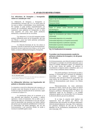 9. APARATO RESPIRATORIO

Las infecciones de bronquios y bronquiolos                    Clasificación anatomopatológica:
suelen ser causada por virus                                  Según el tipo de diseminación en el pulmón
                                                              Bronconeumonía
La inflamación de bronquios y bronquiolos es
extremadamente frecuente (fig. 9.3). La mayor parte de        Neumonía lobular
los casos se deben a enfermedades víricas autolimitadas.      Clasificación microbiológica:
Por ejemplo, la gripe produce traqueobronquitis con
                                                              Según el germen          causal   detectado   por   métodos
necrosis del revestimiento epitelial, y el virus sincitial
respiratorio causa epidemias de bronquiolitis en niños        microbiológicos
muy pequeños. En casos raros puede producirse                 Clasificación clínica:
destrucción y cicatrización de las vías aéreas.
                                                              Según tas circunstancias que rodean el desarrollo de la
          Los adenovirus y el virus del sarampión pueden      enfermedad
producir inflamación grave de los bronquiolos, que cura       Enfermedad adquirida en la comunidad
con fibrosis y causa una lesión pulmonar permanente           Enfermedad adquirida en el hospital (nosocomial)
(bronquiolitis obliterante).
                                                              Enfermedad adquirida en ambientes especiales
           La infección bacteriana de las vías aéreas es      Enfermedad en pacientes inmunosuprimidos
frecuente y precede al desarrollo de una bronconeumonía.      Neumonía por aspiración
Bordetella pertussis provoca la tos ferina y, en los casos
fatales, se asocia a inflamación bronquial y bronquiolar.     Fig. 9.4 Clasificación de la neumonía.


                                                              Se produce una bronconeumonía cuando los
                                                              gérmenes colonizan los bronquios y de ahí pasan
                                                              a los alvéolos

                                                              En la bronconeumonía, una infección primaria centrada en
                                                              los bronquios se extiende a los alvéolos adyacentes, que se
                                                              llenan de exudado inflamatorio agudo, con hepatización
                                                              de las zonas afectas del pulmón. Al comienzo la
                                                              consolidación es dispersa (afecta a lobulillos), pero si no
                                                              se trata se hace confluente (afecta a lóbulos).

                                                                         Este patrón patológico, más frecuente en niños y
                                                              ancianos, es favorecido por la presencia de debilidad e
                                                              inmovilidad.     Los     pacientes inmóviles       retienen
                                                              secreciones; éstas caen por la fuerza de la gravedad a las
                                                              zonas declive de los pulmones y se infectan; por este
                                                              motivo la bronconeumonía suele afectar a los lóbulos
La inflamación infecciosa con hepatización del                inferiores.
pulmón se denomina neumonía
                                                                         Macroscópicamente, las zonas pulmonares
La neumonía es una de las infecciones más comunes y es        afectadas son firmes, carecen de aire y tienen un aspecto
la quinta causa más frecuente de muerte en los EE.UU.         rojo oscuro o grisáceo (fig. 9.5). Puede haber pus en los
Existen tres tipos de clasificación de las neumonías, según   bronquios periféricos. Histológicamente, se observa una
se muestra en la figura 9.4.                                  inflamación aguda de los bronquios y un exudado
                                                              inflamatorio agudo en los alvéolos (fig. 9.6). Es frecuente
         La clasificación clínica de la neumonía es la        la afectación pleural, que provoca pleuresía.
más adecuada para planificar las pruebas y análisis
oportunos e iniciar el tratamiento. Esto se debe a que la               Si se trata, la curación suele implicar una
información sobre las circunstancias en las que una per-      organización focal del pulmón por fibrosis. Las
sona ha desarrollado una neumonía son buenos indicios         complicaciones más frecuentes son abscesos pulmonares,
del germen que ha producido probablemente la infección.       infección pleural (pleuresía, véase pág. 164) y septicemia.
El conocimiento del patrón patológico, que sea una            Los gérmenes etiológicos de este tipo de neumonía
bronconeumonía o una neumonía lobular, no ayuda a             dependen de las circunstancias predisponentes en cada
reconocer el probable agente causal.                          caso (véase pág. 165).




                                                                                                                     162
 