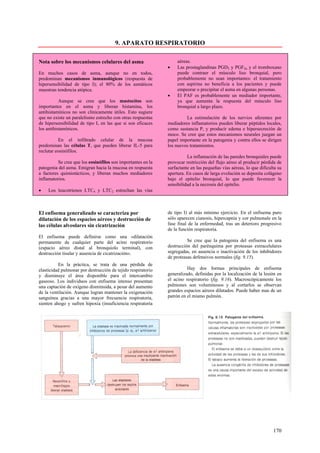 9. APARATO RESPIRATORIO

Nota sobre los mecanismos celulares del asma                       aéreas.
                                                              •    Las prostaglandinas PGD2 y PGF2α y el tromboxano
En muchos casos de asma, aunque no en todos,                       puede contraer el músculo liso bronquial, pero
predominan mecanismos inmunológicos (respuesta de                  probablemente no sean importantes: el tratamiento
hipersensibilidad de tipo I); el 80% de los asmáticos              con aspirina no beneficia a los pacientes y puede
muestran tendencia atópica.                                        empeorar o precipitar el asma en algunas personas.
                                                              •    El PAF es probablemente un mediador importante,
           Aunque se cree que los mastocitos son                   ya que aumenta la respuesta del músculo liso
importantes en el asma y liberan histamina, los                    bronquial a largo plazo.
antihistamínicos no son clínicamente útiles. Esto sugiere
que no existe un paralelismo estrecho con otras respuestas             La estimulación de los nervios aferentes por
de hipersensibilidad de tipo I, en las que si son eficaces    mediadores inflamatorios pueden liberar péptidos locales,
los antihistamínicos.                                         como sustancia P, y producir edema e hipersecreción de
                                                              moco. Se cree que estos mecanismos neurales juegan un
          En el infiltrado celular de la mucosa               papel importante en la patogenia y contra ellos se dirigen
predominan las células T, que pueden liberar IL-5 para        los nuevos tratamientos.
reclutar eosinófilos.
                                                                        La inflamación de las paredes bronquiales puede
          Se cree que los eosinófilos son importantes en la   provocar restricción del flujo aéreo al producir pérdida de
patogenia del asma. Emigran hacia la mucosa en respuesta      surfactante en las pequeñas vías aéreas, lo que dificulta su
a factores quimiotácticos, y liberan muchos mediadores        apertura. En casos de larga evolución se deposita colágeno
inflamatorios.                                                bajo el epitelio bronquial, lo que puede favorecer la
                                                              sensibilidad a la necrosis del epitelio.
•    Los leucotrienos LTC4 y LTC2 estrechan las vías



El enfisema generalizado se caracteriza por                   de tipo I) al más mínimo ejercicio. En el enfisema puro
dilatación de los espacios aéreos y destrucción de            sólo aparecen cianosis, hipercapnia y cor pulmonale en la
las células alveolares sin cicatrización                      fase final de la enfermedad, tras un deterioro progresivo
                                                              de la función respiratoria.
El enfisema puede definirse como una «dilatación
permanente de cualquier parte del acino respiratorio                    Se cree que la patogenia del enfisema es una
(espacio aéreo distal al bronquiolo terminal), con            destrucción del parénquima por proteasas extracelulares
destrucción tisular y ausencia de cicatrización».             segregadas, en ausencia o inactivación de los inhibidores
                                                              de proteasas defensivos normales (fig. 9.15).
          En la práctica, se trata de una pérdida de
elasticidad pulmonar por destrucción de tejido respiratorio             Hay dos formas principales de enfisema
y disminuye el área disponible para el intercambio            generalizado, definidas por la localización de la lesión en
gaseoso. Los individuos con enfisema intenso presentan        el acino respiratorio (fig. 9.16). Macroscópicamente los
una captación de oxígeno disminuida, a pesar del aumento      pulmones son voluminosos y al cortarlos se observan
de la ventilación. Aunque logran mantener la oxigenación      grandes espacios aéreos dilatados. Puede haber mas de un
sanguínea gracias a una mayor frecuencia respiratoria,        patrón en el mismo pulmón.
sienten ahogo y sufren hipoxia (insuficiencia respiratoria




                                                                                                                     170
 
