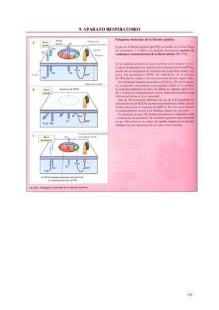 9. APARATO RESPIRATORIO




                          192
 