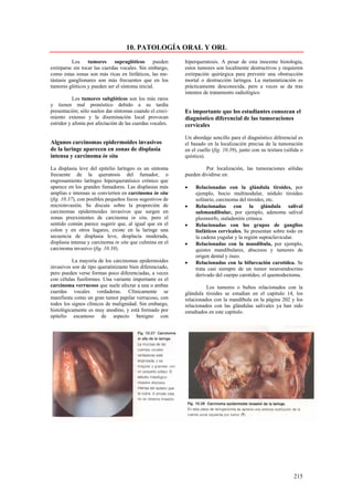 10. PATOLOGÍA ORAL Y ORL
          Los     tumores     supraglóticos pueden         hiperqueratosis. A pesar de esta inocente histología,
extirparse sin tocar las cuerdas vocales. Sin embargo,     estos tumores son localmente destructivos y requieren
como estas zonas son más ricas en linfáticos, las me-      extirpación quirúrgica para prevenir una obstrucción
tástasis ganglionares son más frecuentes que en los        mortal o destrucción laríngea. La metastatización es
tumores glóticos y pueden ser el síntoma inicial.          prácticamente desconocida, pero a veces se da tras
                                                           intentos de tratamiento radiológico
           Los tumores subglóticos son los más raros
y tienen mal pronóstico debido a su tardía
presentación; sólo suelen dar síntomas cuando el creci-    Es importante que los estudiantes conozcan el
miento extenso y la diseminación local provocan            diagnóstico diferencial de las tumoraciones
estridor y afonía por afectación de las cuerdas vocales.   cervicales

                                                           Un abordaje sencillo para el diagnóstico diferencial es
Algunos carcinomas epidermoides invasivos                  el basado en la localización precisa de la tumoración
de la laringe aparecen en zonas de displasia               en el cuello (fig. 10.39), junto con su textura (sólida o
intensa y carcinoma in situ                                quística).

La displasia leve del epitelio laríngeo es un síntoma               Por localización, las tumoraciones sólidas
frecuente de la queratosis del fumador, o                  pueden dividirse en:
engrosamiento laríngeo hiperqueratósico crónico que
aparece en los grandes fumadores. Las displasias más       •    Relacionadas con la glándula tiroides, por
amplias e intensas se convierten en carcinoma in situ           ejemplo, bocio multinodular, nódulo tiroideo
(fig. 10.37), con posibles pequeños focos sugestivos de         solitario, carcinoma del tiroides, etc.
microinvasión. Se discute sobre la proporción de           •    Relacionadas con la glándula salival
carcinomas epidermoides invasivos que surgen en                 submandibular, por ejemplo, adenoma salival
zonas preexistentes de carcinoma in situ, pero el               pleomorfo, sialadenitis crónica.
sentido común parece sugerir que, al igual que en el       •    Relacionadas con los grupos de ganglios
colon y en otros lugares, existe en la laringe una              linfáticos cervicales. Se presentan sobre todo en
secuencia de displasia leve, desplacía moderada,                la cadena yugular y la región supraclavicular.
displasia intensa y carcinoma in situ que culmina en el    •    Relacionadas con la mandíbula, por ejemplo,
carcinoma invasivo (fig. 10.38).                                quistes mandibulares, abscesos y tumores de
                                                                origen dental y óseo.
          La mayoría de los carcinomas epidermoides        •    Relacionadas con la bifurcación carotídea. Se
invasivos son de tipo queratinizante bien diferenciado,         trata casi siempre de un tumor neuroendocrino
pero pueden verse formas poco diferenciadas, a veces            derivado del cuerpo carotídeo, el quemodectoma.
con células fusiformes. Una variante importante es el
carcinoma verrucoso que suele afectar a una o ambas                  Los tumores o bultos relacionados con la
cuerdas vocales verdaderas. Clínicamente se                glándula tiroides se estudian en el capitulo 14, los
manifiesta como un gran tumor papilar verrucoso, con       relacionados con la mandíbula en la página 202 y los
todos los signos clínicos de malignidad. Sin embargo,      relacionados con las glándulas salivales ya han sido
histológicamente es muy anodino, y está formado por        estudiados en este capitulo.
epitelio escamoso de aspecto benigno con




                                                                                                               215
 