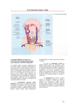 10. PATOLOGÍA ORAL Y ORL




Los ganglios linfáticos cervicales con                   histológicamente si se extirpa innecesaria y tontamente
frecuencia sufren una hiperplasia benigna                un ganglio.
como respuesta a infección e inflamación
                                                                    En casos de tuberculosis cervical los
Los ganglios linfáticos cervicales, especialmente los    ganglios linfáticos suelen estar inflamados y haber
de la región yugular, responden a inflamaciones e        perdido el brillo. Pueden ser ligeramente fluctuantes y
infecciones locales con una hiperplasia reactiva, de     en casos descuidados incluso se abren y supuran hacia
patrón folicular o parafolícular (véase pág. 272, cap.   la superficie («escrófula»). Su aspecto histológico es
13). Las localizaciones más frecuentes de infección      característico, con necrosis caseificante extensa.
primaría son amígdalas, dientes, faringe, senos y, a     Siempre es aconsejable enviar parte de un ganglio tu-
veces, el oído. También puede producirse una             berculoso extirpado para su cultivo, por si el germen
tumefacción reactiva de los ganglios linfáticos ante     causal fuera una micobacteria atípica o resistente al
una inflamación cutánea localizada, por ejemplo, en      tratamiento.
cuero cabelludo o detrás del oído. Tres importantes
enfermedades pueden comenzar con tumefacción de                     La toxoplasmosis suele afectar a adultos
los ganglios linfáticos cervicales.                      jóvenes. La linfadenitis toxoplásica se estudia y
                                                         expone en el capitulo 13 (véase pág. 273). Los
         La mononucleosis infecciosa (fiebre             pacientes con toxoplasmosis pueden presentar
glandular) suele asociarse a inflamación intensa de      linfocitos atípicos circulantes, al igual que sucede con
las amígdalas. El diagnóstico de esta afección puede     la mononucleosis infecciosa. En casos totalmente
confirmarse buscando en sangre periférica células        desarrollados la histología de los ganglios linfáticos es
mononucleares atípicas y mediante la prueba de Paul-     muy característica.
Bunnelí, aunque también puede diagnosticarse




                                                                                                             216
 