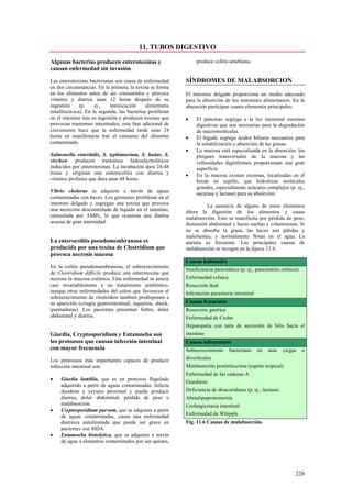 11. TUBOS DIGESTIVO

Algunas bacterias producen enterotoxinas y                       produce colitis amebiana.
causan enfermedad sin invasión

Las enterotoxinas bacterianas son causa de enfermedad       SÍNDROMES DE MALABSORCION
en dos circunstancias. En la primera, la toxina se forma
en los alimentos antes de ser consumidos y provoca          El intestino delgado proporciona un medio adecuado
vómitos y diarrea unas 12 horas después de su               para la absorción de los nutrientes alimentarios. En la
ingestión     (p.     ej.,   intoxicación     alimentaria   absorción participan cuatro elementos principales:
estafilocócica). En la segunda, las bacterias proliferan
en el intestino tras su ingestión y producen toxinas que    •    El páncreas segrega a la luz intestinal enzimas
provocan trastornos intestinales; esta fase adicional de         digestivas que son necesarias para la degradación
crecimiento hace que la enfermedad tarde unas 24                 de macromoléculas.
horas en manifestarse tras el consumo del alimento          •    El hígado segrega ácidos biliares necesarios para
contaminado.                                                     la solubilización y absorción de las grasas.
                                                            •    La mucosa está especializada en la absorción: los
Salmonella enteritidis, S. typhimurium, S. hadar, S.             pliegues transversales de la mucosa y las
virchow producen trastornos hidroelectrolíticos                  vellosidades digitiformes proporcionan una gran
inducidos por enterotoxinas. La incubación dura 24-48            superficie.
horas y originan una enterocolitis con diarrea y            •    En la mucosa existen enzimas, localizadas en el
vómitos profusos que dura unas 48 horas.                         borde en cepillo, que hidrolizan moléculas
                                                                 grandes, especialmente azúcares complejos (p. ej.,
Vibrio cholerae se adquiere a través de aguas                    sacarasa y lactasa) para su absorción.
contaminadas con heces. Los gérmenes proliferan en el
intestino delgado y segregan una toxina que provoca                   La ausencia de alguno de estos elementos
una secreción descontrolada de liquido en el intestino,     altera la digestión de los alimentos y causa
estimulada por AMPc, lo que ocasiona una diarrea            malabsorción. Esto se manifiesta por pérdida de peso,
acuosa de gran intensidad.                                  distensión abdominal y heces sueltas y voluminosas. Si
                                                            no se absorbe la grasa, las heces son pálidas y
                                                            malolientes, y normalmente flotan en el agua. La
La enterocolitis pseudomembranosa es                        anemia es frecuente. Las principales causas de
producida por una toxina de Clostridium que                 malabsorción se recogen en la figura 11.6.
provoca necrosis mucosa
                                                            Causas habituales
En la colitis pseudomembranosa, el sobrecrecimiento
                                                            Insuficiencia pancreática (p. ej., pancreatitis crónica)
de Clostridium difficile produce una enterotoxina que
necrosa la mucosa colónica. Esta enfermedad se asocia       Enfermedad celiaca
casi invariablemente a un tratamiento antibiótico,          Resección ileal
aunque otras enfermedades del colon que favorecen el        Infestación parasitaria intestinal
sobrecrecimiento de clostridios también predisponen a
su aparición (cirugía gastrointestinal, isquemia, shock,    Causas frecuentes
quemaduras). Los pacientes presentan fiebre, dolor          Resección gástrica
abdominal y diarrea.                                        Enfermedad de Crohn
                                                            Hepatopatía con taita de secreción de bilis hacía el
Giardia, Cryptosporidium y Entamoeba son                    intestino
los protozoos que causan infección intestinal               Causas infrecuentes
con mayor frecuencia                                        Sobrecrecimiento bacteriano en asas ciegas                 o
Los protozoos más importantes capaces de producir           divertículos
infección intestinal son:                                   Malabsorción postinfecciosa (esprúe tropical)
                                                            Enfermedad de las cadenas A
•    Giardia lamblia, que es un protozoo flagelado
                                                            Giardíasis
     adquirido a partir de aguas contaminadas. Infecta
     duodeno y yeyuno proximal y puede producir             Deficiencia de disacaridasas (p. ej., lactasa)
     diarrea, dolor abdominal, pérdida de peso o            Abetalipoproteinemia
     malabsorción.                                          Linfangiectasia intestinal
•    Cryptosporidiam parvum, que se adquiere a partir
     de aguas contaminadas, causa una enfermedad            Enfermedad de Whipple
     diarreica autolimitada que puede ser grave en          Fig. 11.6 Causas de malabsorción.
     pacientes con SIDA.
•    Entamoeba histolytica, que se adquiere a través
     de agua o alimentos contaminados por sus quistes,




                                                                                                                  226
 