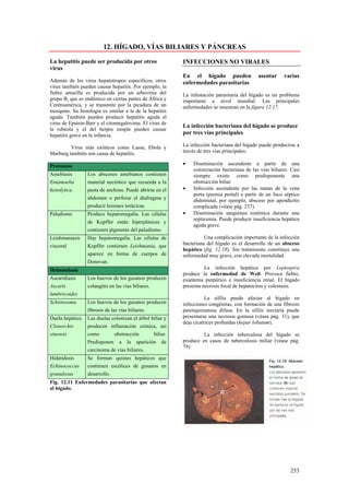 12. HÍGADO, VÍAS BILIARES Y PÁNCREAS

La hepatitis puede ser producida por otros                INFECCIONES NO VIRALES
virus
                                                          En el hígado pueden               asentar     varias
Además de los virus hepatotropos específicos, otros       enfermedades parasitarias
virus también pueden causar hepatitis. Por ejemplo, la
fiebre amarilla es producida por un arbovirus del         La infestación parasitaria del hígado es un problema
grupo B, que es endémico en ciertas partes de África y    importante a nivel mundial. Las principales
Centroamérica, y se transmite por la picadura de un       enfermedades se muestran en la figura 12.17.
mosquito. Su histología es similar a la de la hepatitis
aguda. También pueden producir hepatitis aguda el
virus de Epstein-Barr y el citomegalovirus. El virus de
                                                          La infección bacteriana del hígado se produce
la rubéola y el del herpes simple pueden causar
hepatitis grave en la infancia.                           por tres vías principales

         Virus más exóticos como Lassa, Ebola y           La infección bacteriana del hígado puede producirse a
Marburg también son causa de hepatitis.                   través de tres vías principales:

Protozoos                                                 •   Diseminación ascendente a partir de una
                                                              colonización bacteriana de las vías biliares. Casi
Amebiasis        Los abscesos amebianos contienen             siempre existe como predisponente una
Entamoeba        material necrótico que recuerda a la         obstrucción biliar.
histolytica      pasta de anchoas. Puede abrirse en el    •   Infección ascendente por las ramas de la vena
                                                              porta (piemia portal) a partir de un foco séptico
                 abdomen o perforar el diafragma y            abdominal, por ejemplo, absceso por apendicitis
                 producir lesiones torácicas.                 complicada (véase pág. 237).
Paludismo        Produce hepatomegalia. Las células       •   Diseminación sanguínea sistémica durante una
                                                              septicemia. Puede producir insuficiencia hepática
                 de Kupffer están hiperplásicas y
                                                              aguda grave.
                 contienen pigmento del paludismo.
Leishmaniasis    Hay hepatomegalia. Las células de                  Una complicación importante de la infección
visceral         Kupffer contienen Leishmania, que        bacteriana del hígado es el desarrollo de un absceso
                                                          hepático (fig. 12.18). Sin tratamiento constituye una
                 aparece en forma de cuerpos de           enfermedad muy grave, con elevada mortalidad.
                 Donovan.
Helmintiasis                                                        La infección hepática por Leptospira
                                                          produce la enfermedad de Weil. Provoca fiebre,
Ascaridiasis     Los huevos de los gusanos producen       exantema purpúrico e insuficiencia renal. El hígado
Ascaris          colangitis en las vías biliares.         presenta necrosis focal de hepatocitos y colestasis.
lumbricoides
                                                                     La sífilis puede afectar al hígado en
Schistosoma      Los huevos de los gusanos producen       infecciones congénitas, con formación de una fibrosis
                 fibrosis de las vías biliares.           parenquimatosa difusa. En la sífilis terciaría puede
Duela hepática   Las duelas colonizan el árbol biliar y   presentarse una necrosis gomosa (véase pág. 31), que
                                                          deja cicatrices profundas (hepar lobatum).
Clonorchis       producen inflamación crónica, así
sinensis         como        obstrucción        biliar.            La infección tuberculosa del hígado se
                 Predisponen a la aparición de            produce en casos de tuberculosis miliar (véase pág.
                                                          79).
                 carcinoma de vías biliares.
Hidatidosis      Se forman quistes hepáticos que
Echinococcus     contienen escólices de gusanos en
granulosus       desarrollo.
Fig. 12.11 Enfermedades parasitarias que afectan
al hígado.




                                                                                                           253
 