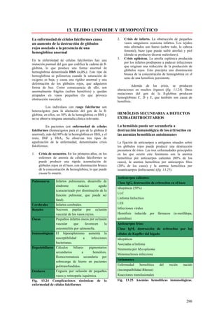 13. TEJIDO LINFOIDE Y HEMOPOYÉTICO

La enfermedad de células falciformes causa                2.   Crisis de infarto. La obstrucción de pequeños
un aumento de la destrucción de glóbulos                       vasos sanguíneos ocasiona infartos. Los tejidos
rojos asociado a la presencia de una                           más afectados son hueso (sobre todo, la cabeza
                                                               femoral), bazo (que puede sufrir atrofia) y piel
hemoglobina anormal
                                                               (donde se producen úlceras maleolares).
                                                          3.   Crisis aplásicas. La atrofia esplénica producida
En la enfermedad de células falciformes hay una
                                                               por los infartos predispone a padecer infecciones
mutación puntual del gen que codifica la cadena de ß-
                                                               que originan una reducción de la producción de
globina, lo que produce una forma anormal de
                                                               glóbulos rojos. Esto precipita una disminución
hemoglobina denominada HbS (α2ßS2). Este tipo de
                                                               brusca de la concentración de hemoglobina en el
hemoglobina se polimeriza cuando la saturación de
                                                               seno de una hemólisis persistente.
oxigeno es baja, y causa una rigidez anormal y una
deformación de los glóbulos rojos, que adquieren
                                                                    Además de las crisis, se producen
forma de hoz. Como consecuencia de ello, son
                                                          alteraciones en muchos órganos (fig. 13.24). Otras
anormalmente frágiles (sufren hemólisis) y quedan
                                                          mutaciones del gen de la ß-globina producen
atrapados en vasos pequeños (lo que provoca
                                                          hemoglobinas C, D y E, que también son causa de
obstrucción vascular).
                                                          hemólisis.
          Los individuos con rasgo falciforme son
heterocigotos para la alteración del gen de la ß-
globina; en ellos, un 30% de la hemoglobina es HbS y      HEMÓLISIS SECUNDARIA A DEFECTOS
no se observa ninguna anomalía clínica relevante.         EXTRAERITROCITARIOS

          En pacientes con enfermedad de células          La hemólisis puede ser secundaria a
falciformes (homocigotos para el gen de la globina ß      destrucción inmunológica de los eritrocitos en
anormal), más del 80% de la hemoglobina es HbS, y el      las anemias hemolíticas autoinmunes
resto, HbF y HbA2. Se observan tres tipos de
agudización de la enfermedad, denominados crisis          La fijación de anticuerpos a antígenos situados sobre
falciformes:                                              los glóbulos rojos puede producir una destrucción
                                                          prematura de éstos. Las tres enfermedades principales
1.   Crisis de secuestro. En los primeros años, en los    en las que ocurre este fenómeno son la anemia
     enfermos de anemia de células falciformes se         hemolítica por anticuerpos calientes (80% de los
     puede producir una rápida acumulación de             casos), la anemia hemolítica por anticuerpos fríos
     glóbulos rojos en el bazo, con disminución brusca    (20% de los casos) y la anemia hemolítica por
     de la concentración de hemoglobina, lo que puede     isoanticuerpos (infrecuente) (fig. 13.25).
     causar la muerte.
                                                          Anticuerpos calientes:
Pulmonares     Infartos pulmonares, desarrollo de         Clase IgG, destrucción de eritrocitos en el bazo
               síndrome          torácico        agudo
                                                          Idiopáticas (50%)
               (caracterizado por disminución de la
                                                          LLC
               función pulmonar, que puede ser
                                                          Linfoma linfocítico
               fatal).
Cerebrales     Infartos cerebrales.                       LES
Renales        Necrosis papilar por oclusión              Infecciones virales
               vascular de los vasos rectos.              Hemólisis inducida     por   fármacos   (α-metildopa,
Óseas          Pequeños infartos óseos por oclusión       quinidina)
               vascular      que       favorecen     la   Anticuerpos fríos:
               osteomielitis por salmonella.              Clase IgM, destrucción de eritrocitos por las
Inmunológicas El hipoesplenismo aumenta la                células de Kupffer del hígado
               susceptibilidad       a      infecciones   Idiopáticas
               bacterianas.                               Asociadas a linfoma
Hepatobiliares Cálculos      biliares     pigmentarios    Neumonía por Mycoplasma
               secundarios          a        hemólisis.
                                                          Mononucleosis infecciosa
               Homocromatosis secundaria por
                                                          Isoinmunes
               sobrecarga de hierro en pacientes
               politransfundidos.                         Enfermedad      hemolítica    del    recién    nacido
Oculares       Ceguera por oclusión de pequeños           (incompatibilidad Rhesus)
               vasos y retinopatía isquémica.             Reacciones transfusionales
Fig. 13.24 Complicaciones sistémicas de la                Fig. 13.25 Anemias hemolíticas inmunológicas.
enfermedad de células falciformes



                                                                                                             290
 