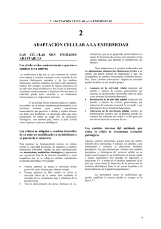 2. ADAPTACIÓN CELULAR A LA ENFERMEDAD



                                                                2
              ADAPTACIÓN CELULAR A LA ENFERMEDAD

LAS CÉLULAS                    SON        UNIDADES                      rifampicina, que es un preparado antimicrobiano) se
                                                                        induce la formación de enzimas microsomales en las
ADAPTABLES                                                              células hepáticas que facilitan el metabolismo del
                                                                        fármaco.
Las células están constantemente expuestas a
cambios de su entorno                                                         Otras adaptaciones a cambios ambientales son
                                                                    las adaptaciones estructurales fisiológicas debidas a un
Las condiciones a las que se ven expuestas las células              cambio del patrón normal de crecimiento y que van
están sujetas a cambios constantes corno resultado de los           acompañadas de cambios estructurales fácilmente detecta-
procesos fisiológicos normales y de los cambios                     bles. Estos cambios estructurales adaptativos normales
ambientales externos, incluidos los efectos del tratamiento         pueden dividirse en tres amplios grupos:
médico. Por ejemplo, el patrón dc ingesta alimenticia de
un individuo puede modificarse o los niveles de hormonas            •   Aumento de la actividad celular (aumento del
circulantes pueden aumentar o disminuir. Por otra parte, el             tamaño o número de células), generalmente por
individuo puede verse sometido a un tratamiento                         aumento de las demandas funcionales sobre un tejido
farmacológico o a temperaturas extremas.                                o por aumento del estímulo hormonal.
                                                                    •   Disminución de la actividad celular (reducción del
          Si las células fueran sistemas estáticos y rígidos,           tamaño o número de células), generalmente por
los cambios de su entorno afectarían profundamente a las                reducción del estimulo hormonal de un tejido o por
funciones     tisulares,    pero     existen    mecanismos              disminución de las demandas funcionales.
homeostáticos que permiten a células y tejidos afrontar             •   Alteración de la morfología celular (cambio de
con éxito esos problemas. Es importante saber que estos                 diferenciación celular), que se produce cuando los
mecanismos no entran en juego sólo en situaciones                       cambios del ambiente que rodea la célula provocan
fisiológicas, sino también para limitar el daño sufrido                 una alteración de la estructura de ésta.
como respuesta a procesos patológicos.

                                                                    Los cambios intensos del ambiente que
Las células se adaptan a cambios tolerables                         rodea la célula se denominan estímulos
de su entorno modificando su metabolismo o                          patológicos
su patrón de crecimiento
                                                                    Algunos cambios ambientales quedan fuera del ámbito
Para mantener su funcionamiento normal, las células                 tolerable de la normalidad. A menudo son debidos a una
poseen la capacidad fisiológica de adaptarse a cambios              enfermedad y entonces se denominan estímulos
ambientales tolerables. Muchas de estas modificaciones              patológicos. Hay que subrayar que el limite entre cambios
son adaptaciones metabólicas fisiológicas y representan             patológicos y fisiológicos del ambiente celular no es
una regulación fina de la función metabólica a nivel                rígido, como tampoco lo es la definición de lesión celular
bioquímico que no se refleja en cambios estructurales               o tisular significativa. Por ejemplo, la exposición a
fácilmente detectables. Por ejemplo:                                radiaciones UV al tomar el sol produce respuestas de la
                                                                    piel que varían desde la inducción de la producción de
•    Durante periodos de ayuno se movilizan ácidos                  melanina (fisiológica) hasta la de graves ampollas y el
     grasos del tejido adiposo para obtener energía.                desprendimiento de la epidermis (patológica).
•    Durante períodos de falta relativa de calcio se
     moviliza calcio de la matriz ósea mediante la                            Las principales causas de enfermedad que
     actividad de los osteoclastos bajo a influencia de la          pueden modificar el entorno celular se recogen en la
     parathormona.                                                  figura 2.1.
•    Tras la administración de ciertos fármacos (p. ej.,




                                                                                                                             9
 