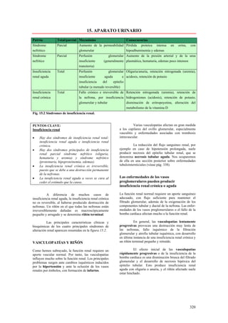 15. APARATO URINARIO
Patrón            Total/parcial Mecanismo                         Consecuencias
Síndrome          Parcial         Aumento de la permeabilidad Pérdida proteica intensa             en    orina,   con
nefrótico                         glomerular                  hipoalbuminemia y edemas
Síndrome          Parcial         Perfusión             glomerular Aumento de la presión arterial y de la urea
nefrítico                         insuficiente       (generalmente plasmática, hematuria, edemas poco intensos
                                  transitoria)
Insuficiencia     Total           Perfusión           glomerular Oliguria/anuria, retención nitrogenada (uremia),
renal aguda                       insuficiente     aguda         e acidosis, retención de potasio
                                  insuficiencia   del     epitelio
                                  tubular (a menudo reversible)
Insuficiencia     Total           Fallo crónico e irreversible de Retención nitrogenada (uremia), retención de
renal crónica                     la nefrona, por insuficiencia hidrogeniones (acidosis), retención de potasio,
                                  glomerular y tubular            disminución de eritropoyetina, alteración del
                                                                  metabolismo de la vitamina D
Fig. 15.2 Síndromes de insuficiencia renal.


PUNTOS CLAVE:                                                           Varias vasculopatías afectan en gran medida
Insuficiencia renal                                           a los capilares del ovillo glomerular, especialmente
                                                              vasculitis y enfermedades asociadas con trombosis
•    Hay dos síndromes de insuficiencia renal total:          intravascular.
     insuficiencia renal aguda e insuficiencia renal
     crónica.                                                           La reducción del flujo sanguíneo renal, por
•    Hay dos síndromes principales de insuficiencia           ejemplo en caso de hipotensión prolongada, suele
     renal parcial síndrome nefrítico (oliguria,              producir necrosis del epitelio tubular renal, que se
     hematuria y uremia) y síndrome nefrótico                 denomina necrosis tubular aguda. Nos ocuparemos
     (proteinuria, hipoproteinemia, edemas).                  de ella en una sección posterior sobre enfermedades
•    La insuficiencia renal crónica es irreversible,          tubulointersticiales (véase pág. 338).
     puesto que se debe a una destrucción permanente
     de la nefronas.
•    La insuficiencia renal aguda a veces se cura al          Las enfermedades de los vasos
     ceder el estímulo que la causa.                          preglomerulares pueden producir
                                                              insuficiencia renal crónica o aguda

           A diferencia de muchos casos de                    La función renal normal requiere un aporte sanguíneo
insuficiencia renal aguda, la insuficiencia renal crónica     adecuado, con flujo suficiente para mantener el
no es reversible, al haberse producido destrucción de         filtrado glomerular, además de la oxigenación de los
nefronas. Un riñón en el que todas las nefronas están         componentes tubular y ductal de la nefrona. Las enfer-
irreversiblemente dañadas es macroscópicamente                medades de los vasos preglomerulares o el fallo de la
pequeño y arrugado y se denomina riñón terminal.              bomba cardiaca afectan mucho a la función renal.

          Las principales características clínicas y                    En general, las vasculopatías lentamente
bioquímicas de los cuatro principales síndromes de            progresivas provocan una destrucción muy lenta de
alteración renal aparecen resumidas en la figura 15.2.        las nefronas, fallo isquémico de la filtración
                                                              glomerular y atrofia tubular isquémica, con desarrollo
                                                              en última instancia de una insuficiencia renal crónica y
VASCULOPATÍAS Y RIÑÓN                                         un riñón terminal pequeño y retraído.

Como hemos subrayado, la función renal requiere un                      El efecto inicial de las vasculopatías
aporte vascular normal. Por tanto, las vasculopatías          rápidamente progresivas o de la insuficiencia de la
influyen mucho sobre la función renal. Los principales        bomba cardiaca es una disminución brusca del filtrado
problemas surgen ante cambios isquémicos inducidos            glomerular y el desarrollo de necrosis hipóxica del
por la hipertensión y ante la oclusión de los vasos           epitelio tubular. Esto produce insuficiencia renal
renales por émbolos, con formación de infartos.               aguda con oliguria o anuria, y el riñón afectado suele
                                                              estar hinchado.




                                                                                                                  320
 