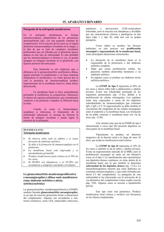 15. APARATO URINARIO

Patogenia de la nefropatía membranosa                      paludismo      y    derivaciones    LCR-ventriculares
                                                           infectadas, pero la mayoría son idiopáticas y divididas
En la nefropatía membranosa se forman                      por sus características clínicas y patológicas en dos
inmunocomplejos subepiteliales de los glomérulos           tipos (tipo 1 y tipo II), cada uno con su propia
(principalmente IgG, con una pequeña cantidad de           patogenia.
complemento). En la mayoría de los casos no se logran
demostrar inmunocomplejos circulantes en la sangre, y                Como indica su nombre, los factores
la idea de que se trate de complejos circulantes           habituales en este proceso son proliferación
preformados que son filtrados por el glomérulo parece      mesangial y engrosamiento de la membrana basal,
dudosa en este tipo de enfermedad. Es más probable         como principales alteraciones estructurales.
que los inmunocomplejos se formen in situ, al quedar
atrapado un antígeno circulante en el glomérulo, con       •   La alteración de la membrana basal es la
fijación posterior del anticuerpo.                             responsable de la proteinuria o del síndrome
                                                               nefrótico completo.
          Esta formación in situ explicaría que, a         •   Dado que existe proliferación celular, los
diferencia de la glomerulonefritis proliferativa difusa,       pacientes también desarrollan hematuria o un
apenas participe el complemento y no haya respuesta            síndrome nefrítico.
inflamatoria ni proliferativa. La razón precisa por la     •   En algunos casos se produce un síndrome mixto
cual la presencia de inmunocomplejos produce                   nefrítico/nefrótico.
engrosamiento de la membrana basal es, hasta ahora,
desconocida.                                                          La GNMP de tipo I representa el 90% de
                                                           los casos y afecta sobre todo a adolescentes y adultos
          La membrana basal se hace anormalmente           jóvenes. Existe una lobularidad acentuada de los
permeable al modificarse su composición. Disminuye         segmentos glomerulares (fig. 15.9a), debido a la
el número de regiones polianiónicas, que normalmente       proliferación de células mesangiales. Los capilares
«repelen» a las proteínas e impiden su filtración hacia    están muy engrosados a causa de los depósitos
la orina.                                                  subendoteliales de inmunocomplejos que contienen
                                                           IgG o IgN y C3. El engrosamiento se debe también al
         Cuando la causa es farmacológica,                 crecimiento del citoplasma de las células mesangiales
neoplásica p infecciosa, el tratamiento de la              entre el endotelio y la membrana basal, con formación
enfermedad subyacente se encarga de eliminar la            de un doble contorno o membrana basal «en vía de
fuente de antígeno circulante y puede lograr la            tren» (fig. 15.9b).
remisión de la nefropatía.
                                                                      Una variante muy rara de la GNMP de tipo I
                                                           (denominada a veces tipo III) presenta depósitos en
PUNTOS CLAVE:                                              otras partes de la membrana basal.
Nefropatía membranosa
                                                                     Típicamente se produce un deterioro
•    Se observa sobre todo en adultos y es causa           progresivo de la función renal a lo largo de unos 10
     frecuente de síndrome nefrótico.                      años, que acaba en insuficiencia renal crónica.
•    Se debe a la formación de inmunocomplejos en el
                                                                     La GNMP de tipo II representa el 10% de
     glomérulo.
                                                           los casos y también se da en niños y adultos jóvenes.
•    La membrana basal está engrosada y es
                                                           Existe un engrosamiento marcado de la MBG, pero la
     anormalmente permeable.
                                                           proliferación mesangial no suele ser tan llamativa
•    Produce insuficiencia renal crónica en el 50% de      como en el tipo I. La manifestación más característica
     los casos.                                            son depósitos densos, continuos, en cinta, dentro de la
•    El 80-90% son idiopáticas, y el 10-20% son            membrana basal, por lo que también se denomina
     secundarias a antígenos anormales circulantes.        enfermedad de los depósitos densos (fig. 15.9c). La
                                                           inmunohistoquímica muestra que estos depósitos no
                                                           contienen inmunocomplejos, y que están formados por
La glomerulonefritis membranoproliferativa                 factor C3 del complemento. La patogenia de esta
(«mesangiocapilar») difusa suele manifestarse              enfermedad se ha relacionado con la activación de la
como síndrome nefrótico o mixto,                           vía alternativa del complemento (véase cuadro rosa de
nefrítico/nefrótico                                        pág. 330). Algunos casos se asocian a lipodistrofia
                                                           parcial.
La glomerulonefritis membranoproliferativa (GNMP),
también llamada glomerulonefritis mesangiocapilar,                    Este tipo tiene mal pronóstico. Produce
es un tipo de reacción glomerular frente a alteraciones    insuficiencia renal crónica y recidiva con frecuencia
del complemento. Algunas son secundarias a tras-           en los riñones trasplantados.
tornos sistémicos, como LES, endocarditis infecciosa,




                                                                                                             329
 