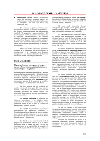 16. APARATO GENITAL MASCULINO
•    Diseminación vascular a hueso. Las metástasis         una tumefacción dolorosa del glande (parafimosis).
     óseas del carcinoma prostático pueden ser             La inflamación del glande, que se denomina balanitis,
     escleróticas, con producción de hueso (densas en      puede deberse a diversas bacterias, y es favorecida por
     la radiografía), más bien que líticas, con            la falta de higiene y la fimosis.
     destrucción ósea.
                                                                     El pene puede desarrollar diversas
          En ocasiones, los primeros síntomas de la        dermopatías, por ejemplo, liquen plano, psoriasis,
enfermedad se deben a la diseminación metastásica,         verrugas virales y molusco contagioso. Algunas de
por ejemplo, compresión medular por una metástasis         estas enfermedades se estudian en el capítulo 21.
vertebral. El diagnóstico anatomopatológico del
carcinoma de la próstata metastásico se completa con                  En la balanitis xerótica obliterante (BXO)
la detección inmunohistoquímica de antígeno                el prepucio está anormalmente engrosado y es
prostático especifico y de fosfatasa ácida prostática en   fibrótico, lo que es causa de fimosis. Se trata de una
el material de biopsia. Ambos pueden utilizarse            enfermedad inflamatoria primaria de la piel, cuya
también como marcadores séricos de la enfermedad,          anatomía patológica es idéntica a la de una
ya que sus cifras están muy aumentadas en presencia        enfermedad vulvar y cutánea llamada liquen escleroso
de metástasis.                                             (véase pág. 361).

          Dado que muchos carcinomas prostáticos                      La mucosa del pene es la zona de infección
dependen de la testosterona para su crecimiento, la        inicial en enfermedades de transmisión sexual como
orquidectomía o el tratamiento con fármacos                la sífilis (el chancro, véase pág. 107) y el herpes
estrogénicos o con hormona liberadora de hormona           genital. En este último se forman típicas ampollas
luteinizante pueden inducir regresión tumoral.             herpéticas en el glande. Un tipo especial de infección
                                                           viral que afecta al pene y a la zona perineal es el
                                                           condiloma acuminado, producido por uno de los
PENE Y ESCROTO                                             papilomavirus humanos, con verrugas que presentan
                                                           un aspecto de coliflor. Aunque son infrecuentes en los
                                                           países occidentales, pueden verse lesiones ulceradas
El pene y el escroto son órganos en los que                del pene debidas a Haemophilus ducreyi (chancroide),
surgen enfermedades congénitas, infecciosas,               Calymmatobacterium        granulomatis     (granuloma
dermatológicas y neoplásicas                               inguinal) y Chlamydia trachomatis (linfogranuloma
                                                           venéreo).
Pueden producirse malformaciones del pene y la uretra
peneana, habitualmente asociadas a falta de descenso                 La lesión neoplásica más importante del
testicular. Su etiología es desconocida, aunque se ha      pene es el carcinoma epidermoide. Éste se desarrolla
sugerido la exposición a estrógenos en el útero como       de forma invasiva queratinizante bien diferenciada,
posible causa. Por ejemplo, en el hipospadias existe       frecuente en ancianos, o como un carcinoma no
una apertura anormal de la uretra en la superficie         invasivo in situ (eritroplasia de Queirat), que aparece
ventral del pene, y en el epispadias, en la dorsal.        en forma de mancha rojiza o placa indurada, similar al
                                                           carcinoma intraepidérmico cutáneo. Existe un espectro
           La uretra peneana, que está recubierta por      de alteraciones que van desde displasia a carcinoma in
epitelio transicional, forma parte del tracto urinario     situ, y que se agrupan bajo el nombre de «neoplasia
inferior, además de ser el sistema de conducción del       peneana intraepitelial» (NPI); muchos casos se asocian
eyaculado procedente del aparato genital. Las              a infección por papilomavirus humano. El carcinoma
principales alteraciones de la uretra son infecciones,     epidermoide invasivo es más frecuente en varones no
que causan uretritis.                                      circuncidados y aparece en forma de masa verrucosa
                                                           en coliflor que sangra con facilidad. Tiende a crecer
         La uretritis gonocócica es producida por          lentamente, pero a menudo se descuida su tratamiento
Neisseria gonorrhoeae, y se adquiere como                  porque el paciente se siente avergonzado; la
enfermedad de transmisión sexual. Produce una              localización más frecuente de sus metástasis son los
supuración uretral. Si no se trata, la cicatrización       ganglios linfáticos a través de los vasos linfáticos.
puede producir estenosis uretrales.
                                                                      La piel del escroto es una localización
            La uretritis no gonocócica es producida        frecuente de muchos trastornos cutáneos, como quistes
principalmente por Chlamydia trachomatis y                 epidérmicos, calcinosis nodular del cutis y de algunas
Ureaplasma urealyticum. Este tipo de uretritis produce     enfermedades inflamatorias cutáneas, como la
una secreción uretral purulenta y, en casos raros,         psoriasis. También puede sufrir un tipo infrecuente de
puede provocar la aparición de un síndrome de Reiter       infarto venoso superficial conocido como «gangrena
(artritis, uretritis y conjuntivitis).                     de Fournier».
                                                                      El tumor más importante del escroto es el
         La fimosis es una situación en la cual el         carcinoma epidermoide invasivo. Actualmente es
prepucio es anormalmente estrecho y no se retrae           infrecuente, pero tuvo importancia histórica al
fácilmente sobre el glande del pene. Una de sus            descubrirse su asociación con el oficio de
complicaciones es la imposibilidad de extender el          deshollinador.
prepucio después de haberlo retraído, lo que da lugar a



                                                                                                             360
 