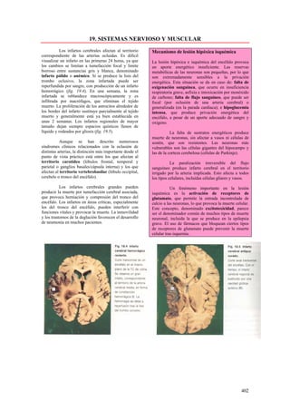 19. SISTEMAS NERVIOSO Y MUSCULAR
          Los infartos cerebrales afectan al territorio     Mecanismo de lesión hipóxica isquémica
correspondiente de las arterías ocluidas. Es difícil
visualizar un infarto en las primeras 24 horas, ya que      La lesión hipóxica e isquémica del encéfalo provoca
los cambios se limitan a tumefacción focal y limite         un aporte energético insuficiente. Las reservas
borroso entre sustancias gris y blanca, denominado          metabólicas de las neuronas son pequeñas, por lo que
infarto pálido o anémico. Si se produce la lisis del        son extremadamente sensibles a la privación
trombo oclusivo, la zona infartada puede ser                energética. Esta situación se da en caso de: falta de
reperfundida por sangre, con producción de un infarto       oxigenación sanguínea, que ocurre en insuficiencia
hemorrágico (fig. 19.4). En una semana, la zona             respiratoria grave, asfixia e intoxicación por monóxido
infartada se reblandece macroscópicamente y es              de carbono; falta de flujo sanguíneo, que puede ser
infiltrada por macrófagos, que eliminan el tejido           focal (por oclusión de una arteria cerebral) o
muerto. La proliferación de los astrocitos alrededor de     generalizada (en la parada cardiaca); e hipoglucemia
los bordes del infarto sustituye parcialmente al tejido     intensa, que produce privación energética del
muerto y generalmente está ya bien establecida en           encéfalo, a pesar de un aporte adecuado de sangre y
unas 2 semanas. Los infartos regionales de mayor            oxígeno.
tamaño dejan siempre espacios quísticos llenos de
líquido y rodeados por gliosis (fig. 19.5).                            La falta de sustratos energéticos produce
                                                            muerte de neuronas, sin afectar a vasos ni células de
           Aunque se han descrito numerosos                 sostén, que son resistentes. Las neuronas más
síndromes clínicos relacionados con la oclusión de          vulnerables son las células gigantes del hipocampo y
distintas arterias, la distinción más importante desde el   las de la corteza cerebelosa (células de Purkinje).
punto de vista práctico está entre los que afectan al
territorio carotídeo (lóbulos frontal, temporal y                      La paralización irreversible del flujo
parietal o ganglios basales/cápsula interna) y los que      sanguíneo produce infarto cerebral en el territorio
afectan al territorio vertebrobasilar (lóbulo occipital,    irrigado por la arteria implicada. Esto afecta a todos
cerebelo o tronco del encéfalo).                            los tipos celulares, incluidas células gliares y vasos.

           Los infartos cerebrales grandes pueden                      Un fenómeno importante en la lesión
producir la muerte por tumefacción cerebral asociada,       isquémica es la activación de receptores de
que provoca herniación y compresión del tronco del          glutamato, que permite la entrada incontrolada de
encéfalo. Los infartos en áreas críticas, especialmente     calcio a las neuronas, lo que provoca la muerte celular.
los del tronco del encéfalo, pueden interferir con          Este concepto, denominado excitotoxicidad, parece
funciones vitales y provocar la muerte. La inmovilidad      ser el denominador común de muchos tipos de muerte
y los trastornos de la deglución favorecen el desarrollo    neuronal, incluida la que se produce en la epilepsia
de neumonía en muchos pacientes.                            grave. El uso de fármacos que bloquean ciertos tipos
                                                            de receptores de glutamato puede prevenir la muerte
                                                            celular tras isquemia.




                                                                                                               402
 