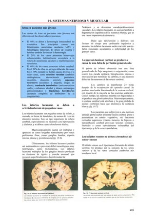 19. SISTEMAS NERVIOSO Y MUSCULAR

Ictus en pacientes más jóvenes                            Parkinson y se denomina «seudoparkinsonismo
                                                          vascular». Los infartos lacunares se asocian también a
Las causas de ictus en pacientes más jóvenes son          degeneración isquémica de la sustancia blanca, que es
diferentes de las observadas en ancianos.                 una causa importante de demencia.

•   El 40% se deben a hemorragia intracerebral no                   Dado que hipertensión y diabetes son
    traumática. Sus principales causas son                factores de riesgo para cardiopatía isquémica y
    hipertensión, aneurismas saculares, MAV y             ateroma, los infartos lacunares suelen coexistir con in-
    hemorragias tumorales. El abuso de cocaína y          fartos regionales secundarios a enfermedad de los
    heroína también favorecen la hemorragia.              grandes vasos.
•   El 20% de los casos presentan hemorragia
    subaracnoidea, habitualmente secundaria a la
    rotura de aneurismas saculares o malformaciones       La necrosis laminar cortical se produce a
    vasculares.                                           causa de una falta de perfusión generalizada
•   El 40% de los casos presentan infarto cerebral.
    En el 30% de ellos no se logra dilucidar la causa.    El patrón de infarto observado tras una falta
    En el 70% restante se hallan causas diversas y a      generalizada de flujo sanguíneo u oxigenación, como
    veces raras, como oclusión vascular (émbolos          ocurre tras parada cardiaca, hipoglucemia intensa o
    cardiogénicos,       aterosclerosis     prematura,    intoxicación por monóxido de carbono, es una necrosis
    vasculitis,    disección     arterial),  espasmos     difusa de las neuronas de la corteza cerebral.
    vasculares (asociados a migraña, drogas de
    abuso), tendencia trombótica (anticonceptivos                   Los cambios se manifiestan 24 horas
    orales y embarazo, alcohol y tabaco, anticuerpos      después de la recuperación del episodio causal. Se
    antifosfolípidos) y trastornos hereditarios           produce una lesión diseminada de la corteza cerebral,
    (ausencia congénita de inhibidores de la              con muerte de la mayoría de las neuronas corticales.
    coagulación).                                         Con el tiempo, las neuronas muertas son fagocitadas y
                                                          se produce una gliosis astrocítica. Macroscópicamente,
                                                          la corteza cerebral está atrofiada y la gran pérdida de
                                                          axones cerebrales hace que disminuya la sustancia
Los infartos lacunares se deben                      a
                                                          blanca (fig. 19.7).
arteriolosclerosis de pequeños vasos
                                                                    Los pacientes que sobreviven a una necrosis
Los infartos lacunares son pequeñas zonas de infarto, a   laminar global suelen presentar lesión cerebral grave y
menudo en forma de hendidura, de menos de 1 cm de         permanecen en estado vegetativo, sin funciones
diámetro máximo. Son un tipo importante de infarto        corticales superiores. Grados menores de hipoxia o
cerebral, especialmente en pacientes con hipertensión     hipoperfusión cerebral provocan lesiones similares,
y diabetes, y se deben a arteriolosclerosis hialina.      limitadas a zonas especialmente vulnerables del
                                                          hipocampo y de la corteza cerebelosa.
           Macroscópicamente suelen ser múltiples y
aparecen en zonas irrigadas normalmente por ramas
perforantes finas, como ganglios basales, cápsula
interna, tálamo y protuberancia (fig. 19.6).
                                                          Los infartos venosos se deben a trombosis de
                                                          senos venosos
          Clínicamente, los infartos lacunares pueden
ser asintomáticos o provocar déficit neurológicos muy     El infarto venoso es el tipo menos frecuente de infarto
restringidos, como monoparesia. Los infartos              cerebral. Se produce por la oclusión de los senos
lacunares múltiples de los ganglios basales producen      venosos y de las venas corticales cerebrales por
un síndrome de rigidez y marcha anormal, que              trombosis local.
recuerda superficialmente a la enfermedad de




                                                                                                             403
 