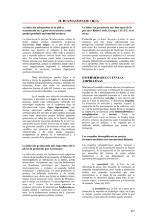 21. DERMATOPATOLOGÍA

La infección tuberculosa de la piel es                     La infección parasitaria más frecuente de la
actualmente rara, pero otras micobacterias                 piel en el Reino Unido, Europa y EE.UU. es la
pueden producir enfermedad cutánea                         sarna

La infección de la piel por M tuberculosis produce la      Producida por el ácaro Sarcoptes scabiei, la sarna
lesión cutánea crónica lentamente progresiva               comienza con una lesión sobreelevada muy
denominada lupus vulgar, en la que existe una              pruriginosa, a menudo eritematosa y que se cubre con
inflamación granulomatosa de células gigantes en la        una costra. Las lesiones presentan a veces un patrón
dermis, que destruye el colágeno y los anejos              lineal debido a la excavación de túneles por los ácaros
cutáneos. Actualmente afecta sobre todo a ancianos,        en la epidermis, con inflamación de la dermis. En
que a menudo refieren tenerlas desde hace muchos           ocasiones puede encontrarse el parásito en el extremo
años. En estas lesiones puede haber cicatrización          del túnel. La presencia del ácaro desencadena una
fibrosa extensa, con destrucción de anejos cutáneos y      reacción inflamatoria con abundantes eosinófilos tanto
atrofia epidérmica, aunque la epidermis puede estar a      en la epidermis como en la dermis subyacente. Los
veces irregularmente engrosada y sobreelevada,             eosinófilos son los responsables del intenso prurito de
simulando un carcinoma escamoso (hiperplasia               las lesiones de la sarna.
seudocarcinomatosa).

          Otras micobacterias pueden llegar a la           ENFERMEDADES CUTÁNEAS
dermis a través de pequeños cortes, y desencadenar         AMPOLLOSAS
una inflamación granulomatosa crónica, a menudo con
ulceración. Entre ellas están las micobacterias
adquiridas durante el baño (M. balnei) o por contacto      Muchas enfermedades cutáneas afectan principalmente
con peces tropicales infectados y sus acuarios.            a la epidermis y provocan la formación de colecciones
                                                           líquidas en ella o inmediatamente por debajo. Si estas
          En el mundo, una infección micobacteriana        colecciones son pequeñas (menores de 5 mm de diá-
importante y frecuente es la lepra. La dermis de los       metro), se denominan vesículas; si son mayores (de
pacientes puede estar extensamente infiltrada por          más de 5 mm de diámetro), se denominan ampollas.
macrófagos hinchados, con el citoplasma lleno de           La formación de vesículas y ampollas requiere la
Mycobacterium leprae (lepra lepromatosa), que              separación de los queratinocitos de la epidermis entre
forman numerosos nódulos (pápulas) y placas                sí, o de la membrana basal. Según dónde se produzca
sobreelevados. En otro tipo de lepra cutánea conocida      la separación, se clasifican como intraepidérmicas o
como lepra tuberculosa pueden hallarse pequeños            subepidérmicas         (o    basales).     Tanto     las
granulomas en todas las capas de la dermis, aunque         intraepidérmicas como las basales se dividen según
son especialmente frecuentes alrededor de los nervios,     diversos criterios, las primeras según la naturaleza del
con posible lesión neural. En este tipo no suelen verse    proceso que las produce, y las segundas por el
los gérmenes causales, y las lesiones clínicas son muy     infiltrado celular inflamatorio que preside a su
variables; con presencia de placas rojo-violáceas          formación.
sobreelevadas o de zonas planas (máculas),
acompañadas de pérdida de la sensibilidad y, a
menudo, también de la pigmentación cutánea.                Las ampollas intraepidérmicas pueden
                                                           formarse mediante tres mecanismos distintos

La infección protozoaria más importante de la              Las ampollas intraepidérmicas pueden formarse a
piel es la producida por Leishmania                        consecuencia de una acumulación excesiva de liquido
                                                           (espongiosis), de la separación de los queratinocitos
La infección cutánea por Leishmania suele adquirirse       por anomalías del sistema de unión celular
a través de la picadura de un mosquito, el flebótano. El   (acantólisis) o de una degeneración de los
microorganismo es introducido en la dermis, donde          queratinocitos (degeneración reticular).
desencadena inicialmente una reacción inflamatoria
con abundantes macrófagos que fagocitan los                          La espongiosis (fig. 21.13a) es con
microorganismos y producen un pequeño nódulo               diferencia la causa más frecuente de formación de
eritematoso y sobreelevado. En fases posteriores se        ampollas intraepidérmicas, pero tiende a producirlas
produce un infiltrado linfocítico y de células             mucho más pequeñas (vesículas) que otros
plasmáticas muy denso que forma un nódulo cutáneo          mecanismos; es la causa de las ampollas que se
mucho mayor (conocido como «botón de Oriente»),            forman en las dermatitis agudas, entre ellas, la der-
que se ulcera con frecuencia. El microorganismo cau-       matitis atópica, la dermatitis seborreica y la dermatitis
sante es L. tropica. En los países tropicales se           de contacto (véase pág. 450).
producen otros tipos de infección por Leishmania que
pueden afectar a superficies mucosas como boca y                     La acantólisis (fig. 21.13b) es la causa de la
nariz. En la leishmaniasis sistémica por L. donovani       formación de ampollas en el pénfigo vulgar, en el que
también pueden aparecer nódulos cutáneos.                  se forman grandes ampollas fláccidas sobre la piel
                                                           enrojecida, en pacientes de mediana edad y ancianos.




                                                                                                               457
 