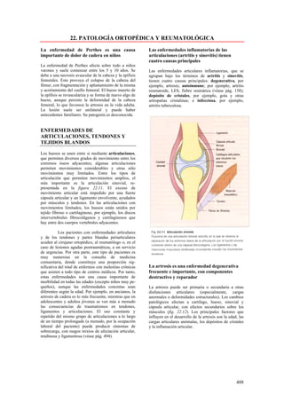 22. PATOLOGÍA ORTOPÉDICA Y REUMATOLÓGICA

La enfermedad de Perthes es una causa                      Las enfermedades inflamatorias de las
importante de dolor de cadera en niños                     articulaciones (artritis y sinovitis) tienen
                                                           cuatro causas principales
La enfermedad de Perthes afecta sobre todo a niños
varones y suele comenzar entre los 5 y 10 años. Se         Las enfermedades articulares inflamatorias, que se
debe a una necrosis avascular de la cabeza y la epífisis   agrupan bajo los términos de artritis y sinovitis,
femorales. Esto provoca el colapso de la cabeza del        tienen cuatro causas principales: degenerativa, por
fémur, con fragmentación y aplastamiento de la misma       ejemplo, artrosis; autoinmune; por ejemplo, artritis
y acortamiento del cuello femoral. El hueso muerto de      reumatoide, LES, fiebre reumática (véase pág. 158);
la epífisis se revasculariza y se forma de nuevo algo de   depósito de cristales, por ejemplo, gota y otras
hueso, aunque persiste la deformidad de la cabeza          artropatías cristalinas; e infecciosa, por ejemplo,
femoral, lo que favorece la artrosis en la vida adulta.    artritis tuberculosa.
La lesión suele ser unilateral y puede haber
antecedentes familiares. Su patogenia es desconocida.


ENFERMEDADES DE
ARTICULACIONES, TENDONES Y
TEJIDOS BLANDOS

Los huesos se unen entre si mediante articulaciones,
que permiten diversos grados de movimiento entre los
extremos óseos adyacentes; algunas articulaciones
permiten movimientos considerables y otras sólo
movimientos muy limitados. Entre los tipos de
articulación que permiten movimientos amplios, el
más importante es la articulación sinovial, re-
presentada en la figura 22.11. El exceso de
movimiento articular está impedido por una fuerte
cápsula articular y un ligamento envolvente, ayudados
por músculos y tendones. En las articulaciones con
movimientos limitados, los huesos están unidos por
tejido fibroso o cartilaginoso, por ejemplo, los discos
intervertebrales fibrocolágenos y cartilaginosos que
hay entre dos cuerpos vertebrales adyacentes.

           Los pacientes con enfermedades articulares
y de los tendones y partes blandas periarticulares
acuden al cirujano ortopédico, al reumatólogo o, en el
caso de lesiones agudas postraumáticas, a un servicio
de urgencias. Por otra parte, este tipo de pacientes es
muy numeroso en la consulta de medicina
comunitaria, donde constituye una proporción sig-
nificativa del total de enfermos con molestias crónicas    La artrosis es una enfermedad degenerativa
que asisten a todo tipo de centros médicos. Por tanto,     frecuente e importante, con componentes
estas enfermedades son una causa importante de             destructivo y reparador
morbilidad en todas las edades (excepto niños muy pe-
queños), aunque las enfermedades concretas sean            La artrosis puede ser primaria o secundaria a otras
diferentes según la edad. Por ejemplo, en ancianos, la     disfunciones articulares (especialmente, cargas
artrosis de cadera es lo más frecuente, mientras que en    anormales o deformidades estructurales). Los cambios
adolescentes y adultos jóvenes se ven más a menudo         patológicos afectan a cartílago, hueso, sinovial y
las consecuencias de traumatismos en tendones,             cápsula articular, con efectos secundarios sobre los
ligamentos y articulaciones. El uso constante y            músculos (fig. 22.12). Los principales factores que
repetido del mismo grupo de articulaciones a lo largo      influyen en el desarrollo de la artrosis son la edad, las
de un tiempo prolongado (a menudo, por la ocupación        cargas articulares anómalas, los depósitos de cristales
laboral del paciente) puede producir síntomas de           y la inflamación articular.
sobrecarga, con rasgos mixtos de afectación articular,
tendinosa y ligamentosa (véase pág. 494).




                                                                                                               488
 
