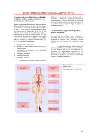 23. ENFERMEDADES MULTISISTEMICAS IMPORTANTES

Actualmente la morbilidad y la mortalidad de                diabéticos de ambos tipos tienen predisposición a
la diabetes mellitus se deben sobre todo a sus              desarrollar cardiopatía isquémica, enfermedad
complicaciones estructurales                                cerebrovascular, gangrena periférica de miembros
                                                            inferiores, insuficiencia renal crónica, disminución de
Aunque antiguamente los trastornos bioquímicos de la        la agudeza visual, que puede llegar a ceguera, y
diabetes mellitus solían causar una muerte temprana,        neuropatía periférica.
el desarrollo del tratamiento insulínico para la diabetes
de tipo I y de diversos hipoglucemiantes orales
(combinados con la dieta) para la de tipo II han            Los diabéticos son especialmente proclives a
reducido enormemente la mortalidad por hiper o              padecer infecciones
hipoglucemia, así como las complicaciones del coma
cetoacidótico. No obstante, la diabetes sigue siendo        Los pacientes con diabetes tienen tendencia a
una causa importante de morbilidad y mortalidad             desarrollar infecciones, generalmente de naturaleza
debido a una serie de complicaciones frecuentes (fig.       bacteriana o micótica. Los principales órganos
23.9). De éstas, las principales son:                       afectados son piel, mucosas oral y genital, y tracto
                                                            urinario.
•    Predisposición a infecciones.
•    Aumento de intensidad de la aterosclerosis y sus                  En la piel, los diabéticos padecen sobre todo
     complicaciones.                                        infecciones foliculares por estafilococos, que tienden a
•    Vasculopatía de pequeños vasos diseminada              ser más intensas que en los no diabéticos; los
     (arteriolosclerosis).                                  furúnculos son especialmente frecuentes en los
•    Nefropatía glomerular.                                 diabéticos de tipo II. Otras enfermedades cutáneas más
•    Retinopatía vascular.                                  frecuentes en diabéticos son micosis superficiales,
                                                            celulitis y erisipela (véase cap. 21).
•    Neuropatía periférica.

          A consecuencia de estas complicaciones, los




                                                                                                               506
 