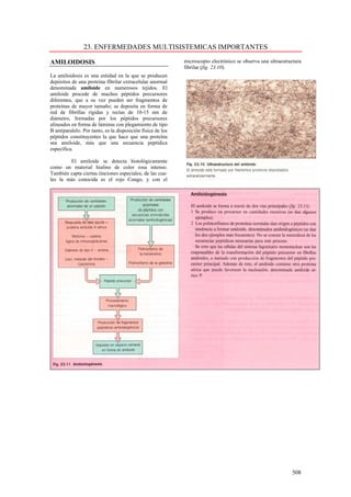 23. ENFERMEDADES MULTISISTEMICAS IMPORTANTES

AMILOIDOSIS                                                  microscopio electrónico se observa una ultraestructura
                                                             fibrilar (fig. 23.10).
La amiloidosis es una entidad en la que se producen
depósitos de una proteína fibrilar extracelular anormal
denominada amiloide en numerosos tejidos. El
amiloide procede de muchos péptidos precursores
diferentes, que a su vez pueden ser fragmentos de
proteínas de mayor tamaño; se deposita en forma de
red de fibrillas rígidas y rectas de 10-15 nm de
diámetro, formadas por los péptidos precursores
alineados en forma de láminas con plegamiento de tipo
B antiparalelo. Por tanto, es la disposición física de los
péptidos constituyentes la que hace que una proteína
sea amiloide, más que una secuencia peptídica
específica.

        El amiloide se detecta histológicamente
como un material hialino de color rosa intenso.
También capta ciertas tinciones especiales, de las cua-
les la más conocida es el rojo Congo, y con el




                                                                                                              508
 