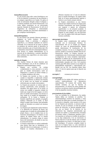inmunofluorescencia                                                obtienen muestras de 1-2 mm de diámetro
    Es una técnica para teñir cortes histológicos con              para su estudio histológico. Se emplea sobre
    el fin de detectar la presencia de una proteína o              todo en el tracto gastrointestinal superior e
    un antígeno específicos en el tejido. Se aplica al             inferior y en el tracto urinario inferior.
    corte un anticuerpo dirigido contra el antígeno y         •    La biopsia estereotáxica es una técnica
    se detecta mediante una tinción fluorescente. Los              especial que emplea técnicas de imagen para
    cortes deben examinarse en un microscopio                      localizar exactamente una lesión profunda
    especial, llamado de fluorescencia. Es útil en el              con respecto a puntos de referencias
    diagnóstico de nefropatías y enfermedades                      superficiales o a un armazón acoplado. A
    cutáneas causadas por reacciones autoinmunes o                 continuación se puede guiar una aguja para
    por complejos inmunológicos.                                   biopsiar la zona elegida, con una precisión
                                                                   de 1 mm. Se emplea sobre todo para biopsiar
inmunohistoquímica                                                 lesiones cerebrales.
    Es una técnica que permite detectar proteínas o
    antígenos en cortes tisulares. Se aplican             microscopio electrónico
    anticuerpos frente a proteínas o antígenos                Se emplea como complemento del análisis
    específicos y se detectan mediante un reactivo            realizado con el microscopio fotónico. Es
    coloreado. En la mayoría de los casos se genera           especialmente útil en el estudio de biopsias
    un producto de reacción pardo al detectarse la            renales en casos de glomerulonefritis, donde
    enzima marcadora, que es la peroxidasa (por ello          puede determinarse la localización de los
    se denomina «reacción de la inmunoperoxidasa»).           complejos inmunes. Se usa en el diagnóstico de
    Esta técnica se emplea habitualmente en la                tumores, donde se reconocen detalles finos de di-
    mayoría de los laboratorios y permite identificar         ferenciación celular. La biopsia muscular se
    tipos celulares muy específicos, así como marca-          complementa con el microscopio electrónico para
    dores tumorales.                                          el diagnóstico de varias miopatías importantes.
                                                              Mediante el análisis de las características de las
métodos de biopsia                                            partículas víricas también pueden diagnosticarse
    Hay muchas formas de tomar muestras para                  enfermedades causadas por virus. Las muestras
    estudio histológico con el fin de establecer un           tisulares para ME deben incluirse en un fijador de
    diagnóstico anatomopatológico exacto:                     glutaraldehído tamponado y especialmente pre-
    •    Biopsia      con    excisión.    Se    extirpa       parado con ese fin. Las muestras deben tener
         completamente la zona anormal y se envía             entre 1-2 mm de espesor para que la fijación sea
         para su estudio microscópico; suele ser              adecuada.
         diagnóstica y curativa al mismo tiempo; p.
         ej., pólipo neoplásico del colon.                necropsia V.       «examen post mortem»
    •    La biopsia con incisión se lleva a cabo
         cuando es imposible o inadecuado extirpar        neuropatología
         toda la zona enferma; se obtiene una muestra         El estudio de los tejidos del sistema nervioso se
         de la lesión con un bisturí en cantidad              realiza     tradicionalmente    en     laboratorios
         suficiente para su estudio microscópico.             especializados. El examen del cerebro dura
    •    La biopsia por punción se realiza tanto en           muchas semanas, ya que la fijación, el
         lesiones superficiales como profundas; se            procesamiento y la tinción de cortes grandes del
         introduce una aguja hueca en la lesión, se           cerebro es un proceso mucho más prolongado que
         extrae con cuidado el pequeño cilindro de            el de las pequeñas muestras tisulares.
         tejido que ocupa la luz de la aguja y se envía
         para un estudio microscópico. Esa técnica es     procesamiento de los tejidos
         muy usada en el estudio de hepatopatías y            Una vez recibidos en el laboratorio, los tejidos
         nefropatías. Si la lesión a biopsiar es              fijados deben ser incluidos en parafina. Un
         bastante superficial, por ejemplo, un ganglio        anatomopatólogo examina las muestras y toma
         linfático inflamado en el cuello, es fácil           porciones de tejido para su estudio histológico. Si
         dirigir la aguja; para lesiones más profundas        la muestra es pequeña, como sucede en los casos
         puede ser necesario un control con técnicas          de las biopsias por punción, se procesa toda la
         de imagen.                                           muestra. Si, por el contrario, se trata de grandes
    •    Las biopsias por trepanación suelen limitarse        piezas de resección, se disecan pequeñas mues-
         a la obtención de muestras de hueso, por             tras con un bisturí. En la mayoría de los
         ejemplo para el estudio de enfermedades del          laboratorios hay máquinas automatizadas que
         propio hueso, o de la médula ósea en los             exponen los tejidos a concentraciones crecientes
         trastornos hematológicos. El trépano es una          de alcohol, xileno y, finalmente, parafina a 60 C.
         especie de taladro hueco que se inserta              Las muestras se incluyen en moldes de parafina y
         manualmente. La muestra ocupa el centro              se las deja endurecerse. Con un microtomo se
         hueco del instrumento, de donde se saca tras         hacen cortes de 3-5 µm de espesor, que se montan
         la extracción de éste.                               en portaobjetos de cristal y se tiñen para su estu-
    •    La biopsia endoscópica se realiza empleando          dio histológico. El proceso completo desde la
         unas pinzas finas que se introducen a lo             toma de la biopsia hasta su corte (incluida la
         largo del tubo de un endoscopio. La lesión a         fijación adecuada) tiene una duración de unas 24
         biopsiar se visualiza directamente y se              horas.
 