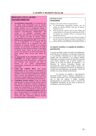 3. LESIÓN Y MUERTE CELULAR

BIOLOGÍA CELULAR DEL
                                                             PUNTOS CLAVE:
ENVEJECIMIENTO                                               Envejecimiento
•   Envejecimiento programado. Se ha propuesto que           Existen varias teorías sobre el envejecimiento:
    las células están programadas para un número             •    El envejecimiento programado propone que las
    limitado de divisiones celulares tras las cuales ya no        células no pueden dividirse más que un numero
    pueden dividirse, con la consiguiente atrofia y               limitado de veces.
    pérdida funcional. Otras teorías sugieren que algunos    •    Otras propuestas sugieren que la causa última del
    estímulos neuroendocrinos fundamentales del                   envejecimiento es la reparación defectuosa del ADN,
    cerebro y las glándulas endocrinas están                      las lesiones por radicales libres o el fracaso del
    programados para detenerse a cierta edad biológica,           catabolismo proteico.
    lo que provoca una falta de factores tróficos
                                                             •    Las teorías de la acumulación de lesiones proponen
    imprescindibles para mantener el crecimiento celular.
                                                                  que las lesiones de todos los sistemas a lo largo de la
•   Defectos en la reparación del ADN. Se ha sugerido             vida se suman y se manifiestan como envejecimiento.
    que el envejecimiento es el resultado de los
    conocidos defectos en la reparación del ADN
    producidos en pequeña cantidad en las personas
    normales. Con el tiempo, la proporción de células        La muerte somática va seguida de autólisis y
    portadoras de ADN anormal aumenta, lo que afecta         putrefacción
    la función tisular. Ocurre no solo con el ADN
    nuclear, sino además con el ADN mitocondrial, que        La muerte de células y tejidos no conlleva inevitablemente
    posee sistemas menos eficaces para reparar los           la del individuo. No obstante, si las funciones fisiológicas
    daños.                                                   se ven afectadas críticamente por el daño tisular, por
•   La degeneración de los materiales de la matriz           ejemplo, por una respiración o un volumen cardiaco
    extracelular por puentes proteicos cruzados y            inadecuados, se produce la muerte del individuo (conocida
    modificaciones como glucosilación y oxidación, ha        como muerte somática). Tras la muerte somática se
    sido propuesta como mecanismo que altera la              produce la de todas las células del organismo, y la
    función      de     las    células   parenquimatosas     liberación de enzimas lisosomales produce una
    especializadas, produciendo una disfunción celular       descomposición tisular mediante autólisis, similar a los
    con la edad.                                             fenómenos que acompañan a la necrosis. El organismo es
•   Lesión por radicales libres. Una menos                   invadido por microorganismos, por ejemplo, a partir del
    disponibilidad de los sistemas de depuración de          intestino, con lo que aumenta la putrefacción.
    radicales libres ha sido propuesta como mecanismo
    mediante el cual las lesiones mediadas por radicales               Los procesos de autólisis y descomposición
    libres se hacen más significativas con la edad y         bacteriana pueden frenar-se mediante refrigeración o
    comienzan a causar disfunción y muerte celular. Este     soluciones conservantes. Esta es la principal razón por la
    mecanismo dañaría al ADN además de las proteínas.        que se fijan los órganos y tejidos resecados
•   Catabolismo proteico ineficaz. Todas las células         quirúrgicamente en conservantes como la solución del
    dependen para su supervivencia de sistemas eficaces      formaldehído (formalina); de este modo se preserva la
    para eliminar componentes celulares lesionados o         morfología y se previene la autólisis.
    exhaustos. Se ha sugerido que una de las principales
    causas del envejecimiento es la ineficacia de estos
    sistemas, lo que provoca disfunción y muerte celular.
•   Las teorías de la acumulación de lesiones proponen
    que el envejecimiento es el resultado de todos los
    daños celulares sufridos a lo largo de la vida:
    lesiones del ADN, alteraciones proteicas, lesiones
    por radicales libres o enfermedades.




                                                                                                                     33
 