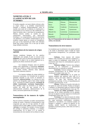 4. NEOPLASIA

NOMENELATURA Y
CLASIFICACIÓN DE LOS                                       Tejido de sostén     Benignos        Malignos
TUMORES
                                                           Fibroso              Fibroma         Fibrosarcoma
El nombre asignado a un tumor debería informar sobre       Hueso                Osteoma         Osteosarcoma
su origen celular y su probable comportamiento
(benigno o maligno). Desgraciadamente, como en             Cartílago            Condroma        Condrosarcoma
muchas otras áreas de la medicina, la clasificación y      Adiposo              Lipoma          Liposarcoma
nomenclatura de los tumores ha sido establecida a lo
largo de muchos años y está llena de incongruencias.       Músculo liso         Leiomioma       Leiomiosarcoma
Muchos tumores reciben su nombre de una                    Músculo              Rabdomioma Rabdomiosarcoma
característica    macroscópica,  una     observación
histológica o su comportamiento. Otros se denominan        esquelético
con epónimos o con nombres semidescriptivos que se         Fig. 4.13 Nomenclatura de los tumores de células de
acuñaron cuando apenas se conocía su histogénesis,         sostén y de músculo.
pero que se han mantenido por haber sido utilizados
desde hace mucho tiempo. No es raro que un tumor
tenga múltiples sinónimos.
                                                           Nomenclatura de otros tumores
                                                           Las neoplasias que no pertenecen a los grupos epitelial
Nomenclatura de los tumores de origen                      o de sostén se denominan según el tejido de origen
epitelial                                                  (nomenclatura histogenética). Las principales clases
                                                           son:
Algunas neoplasias benignas de los epitelios
superficiales, por ejemplo, la piel, se conocen como                   Linfomas. Estos tumores del sistema
papilomas, por crecer en forma de vegetaciones. A ese      linfático están formados por linfocitos neoplásicos y,
nombre se le añade el de su célula originaria (p ej.,      según su grado de malignidad, varían desde los de
papiloma de células escamosas de la piel).                 crecimiento lento hasta los extremadamente agresivos
                                                           (véase cap. 13).
          Las neoplasias benignas, tanto de epitelios                  Melanona maligno. Tumores muy malignos
sólidos como superficiales, se denominan adenomas,         derivados de los melanocitos y generalmente
nombre que también se añade al del tejido original (p.     identificables por su contenido en melanina.
ej., adenoma tiroideo, adenoma renal, adenoma                          Leucemias. Tumores malignos derivados de
suprarrenal, adenoma colónico).                            elementos hemopoyéticos de la médula ósea que
                                                           circulan por la sangre (véase cap. 13).
           Los tumores malignos de origen epitelial se                 Tumores embrionarios. Es un grupo de
denominan carcinomas. Los formados por un epitelio         tumores malignos que aparecen sobre todo en la
glandular (incluido el que reviste el intestino) se        infancia y derivan del tejido «blástico» embrionario
denominan adenocarcinomas. Los tumores de otros            primitivo; los tipos más frecuentes son el
epitelios son designados según el tipo celular original    nefroblastoma renal (fig. 15.23) y el neuroblastoma de
(p ej., carcinoma de célalas escamosas, carcinoma de       la médula suprarrenal (fig. 14.24).
células transicionales, carcinoma hepatocelular).                      Gliomas. Tumores no neurales derivados de
Para clasificar mejor un carcinoma se le añade el          los tejidos de sostén del encéfalo. Pueden ser benignos
nombre del tejido del que procede (p. ej.,                 o malignos y se denominan según sus células de origen
adenocarcinoma prostático, adenocarcinoma de la            (p. ej., astrocitoma, oligodendroglioma; véase cap. 19).
mama, carcinoma epidermoide de la laringe).                            Tumores de células germinales. Tumores
                                                           derivados de las células germinales de las gónadas,
                                                           pero que en algunas ocasiones aparecen en localización
Nomenclatura de los tumores de tejidos                     extragonadal (véanse caps. 16 y 17).
mesenquimales                                                          Teratomas. Es un tipo de tumores de células
                                                           germinales que se diferencia según los elementos de las
Para los tumores originados en tejidos mesenquimales       tres capas germinales embriológicas: ectodermo,
(células de sostén o músculo) la nomenclatura es más       endodermo y mesodermo. Los teratomas pueden ser
congruente que para los de tipo epitelial. El tejido       benignos o malignos y, además de aparecer en las
originario toma el sufijo -oma sí el tumor es benigno, o   gónadas, pueden hacerlo en localizaciones no
-sarcoma si es maligno. Por ejemplo, el tumor benigno      gonadales en personas jóvenes, sobre todo en el sacro y
del cartílago se denomina condroma, y el maligno,          el mediastino.
condrosarcoma. En la figura 4.13 se resume la
nomenclatura de otros tumores de las células de sostén.




                                                                                                                45
 