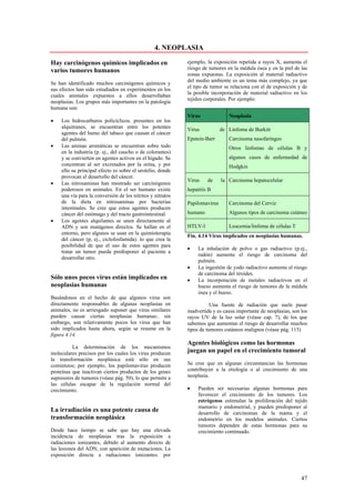 4. NEOPLASIA

Hay carcinógenos químicos implicados en                     ejemplo, la exposición repetida a rayos X, aumenta el
varios tumores humanos                                      riesgo de tumores en la médula ósea y en la piel de las
                                                            zonas expuestas. La exposición al material radiactivo
                                                            del medio ambiente es un tema más complejo, ya que
Se han identificado muchos carcinógenos químicos y
                                                            el tipo de tumor se relaciona con el de exposición y de
sus efectos han sido estudiados en experimentos en los
                                                            la posible incorporación de material radiactivo en los
cuales animales expuestos a ellos desarrollaban
                                                            tejidos corporales. Por ejemplo:
neoplasias. Los grupos más importantes en la patología
humana son:
                                                            Virus              Neoplasia
•   Los hidrocarburos policíclicos. presentes en los
    alquitranes, se encuentran entre los potentes           Virus           de Linfoma de Burkitt
    agentes del humo del tabaco que causan el cáncer
    del pulmón.                                             Epstein-Barr       Carcinoma nasofaríngeo
•   Las aminas aromáticas se encuentran sobre todo                             Otros linfomas de células B y
    en la industria (p. ej., del caucho o de colorantes)
    y se convierten en agentes activos en el hígado. Se                        algunos casos de enfermedad de
    concentran al ser excretados por la orina, y por                           Hodgkin
    ello su principal efecto es sobre el urotelio, donde
    provocan el desarrollo del cáncer.
                                                            Virus    de     la Carcinoma hepatocelular
•   Las nitrosaminas han mostrado ser carcinógenos
    poderosos en animales. En el ser humano existe          hepatitis B
    una vía para la conversión de los nitritos y nitratos
    de la dieta en nitrosaminas por bacterias               Papilomavirus      Carcinoma del Cerviz
    intestinales. Se cree que estos agentes producen
    cáncer del estómago y del tracto gastrointestinal.      humano             Algunos tipos de carcinoma cutáneo
•   Los agentes alquilantes se unen directamente al
    ADN y son mutágenos directos. Se hallan en el           HTLV-l             Leucemia/linfoma de células T
    entorno, pero algunos se usan en la quimioterapia
                                                            Fin. 4.14 Virus implicados en neoplasias humanas.
    del cáncer (p, ej., ciclofosfamida). lo que crea la
    posibilidad de que el uso de estos agentes para
                                                            •    La inhalación de polvo o gas radiactivo (p.ej.,
    tratar un tumor pueda predisponer al paciente a
                                                                 radón) aumenta el riesgo de carcinoma del
    desarrollar otro.
                                                                 pulmón.
                                                            •    La ingestión de yodo radiactivo aumenta el riesgo
                                                                 de carcinoma del tiroides.
Sólo unos pocos virus están implicados en                   •    La incorporación de metales radiactivos en el
neoplasias humanas                                               hueso aumenta el riesgo de tumores de la médula
                                                                 ósea y el hueso.
Basándonos en el hecho de que algunos virus son
directamente responsables de algunas neoplasias en                     Una fuente de radiación que suele pasar
animales, no es arriesgado suponer que virus similares      inadvertida y es causa importante de neoplasias, son los
pueden causar ciertas neoplasias humanas:. sin              rayos UV de la luz solar (véase cap. 7), de los que
embargo, son relativamente pocos los virus que han          sabemos que aumentan el riesgo de desarrollar muchos
sido implicados hasta ahora, según se resume en la          tipos de tumores cutáneos malignos (véase pág. 115)
figura 4.14.
                                                            Agentes biológicos como las hormonas
          La determinación de los mecanismos
moleculares precisos por los cuales los virus producen      juegan un papel en el crecimiento tumoral
la transformación neoplásica está sólo en sus
comienzos; por ejemplo, los papilomavirus producen          Se cree que en algunas circunstancias las hormonas
proteínas que inactivan ciertos productos de los genes      contribuyen a la etiología o al crecimiento de una
supresores de tumores (véase pág. 50), lo que permite a     neoplasia.
las células escapar de la regulación normal del
crecimiento.                                                •    Pueden ser necesarias algunas hormonas para
                                                                 favorecer el crecimiento de los tumores. Los
                                                                 estrógenos estimulan la proliferación del tejido
                                                                 mamario y endometrial, y pueden predisponer al
La irradiación es una potente causa de                           desarrollo de carcinomas de la mama y el
transformación neoplásica                                        endometrio en los modelos animales. Ciertos
                                                                 tumores dependen de estas hormonas para su
Desde hace tiempo se sabe que hay una elevada                    crecimiento continuado.
incidencia de neoplasias tras la exposición a
radiaciones ionizantes, debido al aumento directo de
las lesiones del ADN, con aparición de mutaciones. La
exposición directa a radiaciones ionizantes. por



                                                                                                                 47
 