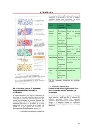 4. NEOPLASIA
                                                         en muestras tumorales no sólo es útil para determinar el
                                                         diagnóstico o el pronóstico, sino que es también
                                                         importante, porque están relacionadas, en último
                                                         término, con una expresión genética anormal.


                                                         Tumor            Anomalía        Efectos
                                                                          citogenética

                                                         Leucemia         Translocación Forma una proteína
                                                         mieloide         entre           con           actividad
                                                         crónica          cromosomas      tirosinacinasa(proteína
                                                                          9       y   22 bcr-abl)
                                                                          (cromosoma
                                                                          Philadelphia)

                                                         Linfoma          Translocación Producción            de
                                                         folicular        entre           proteína que impide la
                                                                          cromosomas      muerte          celular
                                                                          13 y 18         (producto bcl-2)

                                                         Neuroblastoma Regiones           Amplificación de n-
                                                                          homogéneas      myc en el tipo con mal
                                                                          y               pronóstico
                                                                          cromosomas
                                                                          dobles

                                                         Tumor       de Translocación Desconocidos
                                                         Ewing            entre
                                                                          cromosomas
                                                                          11 y 22
                                                         Fig. 4.18 Anomalías citogenéticas en neoplasias
                                                         humanas.


                                                         Las respuestas inmunitarias
En un pequeño número de tumores se                       probablemente no son significativas en la
observan anomalías citogenéticas                         lucha contra los tumores humanos ya
recidivantes                                             establecidos
El estudio citogenético de la dotación cromosómica de    La transformación neoplásica produce un fenotipo
las células ha permitido identificar varías anomalías    celular anormal y puede asociarse al desarrollo de
cromosómicas recidivantes en tumores específicos. Las    antígenos anormales. Aunque las respuestas
últimas investigaciones de biología molecular han        inmunitarias frente a tumores son evidentes, parecen
mostrado algunos de los efectos genéticos de estas       débiles y, en patología humana, no contribuyen
anomalías estructurales. En la mayoría de los casos      significativamente a la respuesta frente a un tumor ya
adquieren la forma de expresión de un oncogén o la       establecido.
pérdida de un gen supresor. Las anomalías más
importantes han sido enumeradas en la figura 4.18.

         La detección de estas anomalías citogenéticas




                                                                                                              52
 