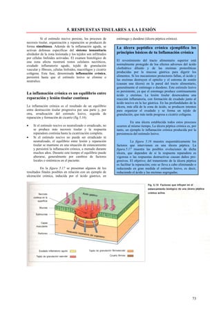 5. RESPUESTAS TISULARES A LA LESIÓN
          Si el estímulo nocivo persiste, los procesos de       estómago y duodeno (úlcera péptica crónica).
necrosis tisular, organización y reparación se producen de
forma simultánea. Además de la inflamación aguda, se            La úlcera peptídica crónica ejemplifica los
activan defensas específicas del sistema inmunitario
alrededor de la zona lesionada y los tejidos son infiltrados    principios básicos de tu Inflamación crónica
por células linfoides activadas. El examen histológico de
una zona afecta mostrará restos celulares necróticos,           El revestimiento del tracto alimentario superior está
exudado inflamatorio agudo, tejido de granulación               normalmente protegido de loa efectos adversos del ácido
vascular y fibrosis, células linfoides, macrófagos y cicatriz   clorhídrico diluido y de las enzimas proteolíticas
colágena. Esta fase, denominada inflamación crónica,            producidas por la mucosa gástrica para digerir los
persistirá hasta que el estímulo lesivo se elimine o            alimentos. Si los mecanismos protectores fallan, el ácido y
neutralice.                                                     las enzimas destruyen el epitelio y el estroma de sostén
                                                                (causan una úlcera) en la pared del tracto alimentario,
                                                                generalmente el estómago o duodeno. Este estimulo lesivo
                                                                es persistente, ya que el estomago produce continuamente
La inflamación crónica es un equilibrio entre                   ácido y enzimas. La lesión tisular desencadena una
reparación y lesión tisular continua                            reacción inflamatoria, con formación de exudado junto al
                                                                ácido nocivo en la luz gástrica. En las profundidades de la
La inflamación crónica es el resultado de un equilibrio         úlcera, más allá de la zona de ácido, se producen intentos
entre destrucción tisular progresiva por una parte y, por       para organizar el exudado y se forma un tejido de
otra, erradicación del estimulo lesivo, seguida de              granulación, que más tarde progresa a cicatriz colágena.
reparación y formación de cicatriz (fig 5.16).
                                                                          En una úlcera establecida todos estos procesos
•    Si el estímulo nocivo es neutralizado o erradicado, no     ocurren al mismo tiempo, La úlcera péptica crónica es, por
     se produce más necrosis tisular y la respuesta             tanto, un ejemplo le inflamación crónica producida por la
     reparadora continúa hasta la cicatrización completa.       persistencia del estimulo lesivo.
•    Si el estímulo nocivo no puede ser erradicado ni
     neutralizado, el equilibrio entre lesión y reparación                 La figura 5.16 muestra esquemáticamente los
     tisular se mantiene en una situación de estancamiento      factores que intervienen en una úlcera péptica. La
     y persistirá la inflamación crónica, a menudo durante      figura.5.17 muestra las posibles evoluciones de dicha
     muchos años. Durante este tiempo el equilibrio puede       úlcera, que dependen de si la respuesta reparadora es
     alterarse, generalmente por cambios de factores            vigorosa o las respuestas destructivas causan daños pro-
     locales o sistémicos en el paciente.                       gresivos. El objetivo; del tratamiento de la úlcera péptica
                                                                es facilitar la reparación; esto se lleva a cabo eliminando o
          En la figura 5.17 se presentan algunos de los         reduciendo en gran medida el estímulo lesivo, es decir,
resultados finales posibles en relación con un ejemplo de       reduciendo el ácido y las enzimas segregadas.
ulceración crónica, inducida por el ácido gástrico, en




                                                                                                                          73
 