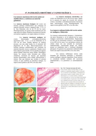Anatom A Patol Gica