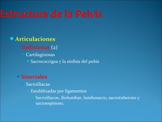 Articulaciones
Sinfisiarias (2)
 Cartilaginosas
 Sacrococcígea y la sínfisis del pubis
Sinoviales
 Sacroilíacas
 Estabilizadas por ligamentos
 Sacroilíacos, iliolumbar, lumbosacro, sacrotuberoso y
sacroespinoso.
 